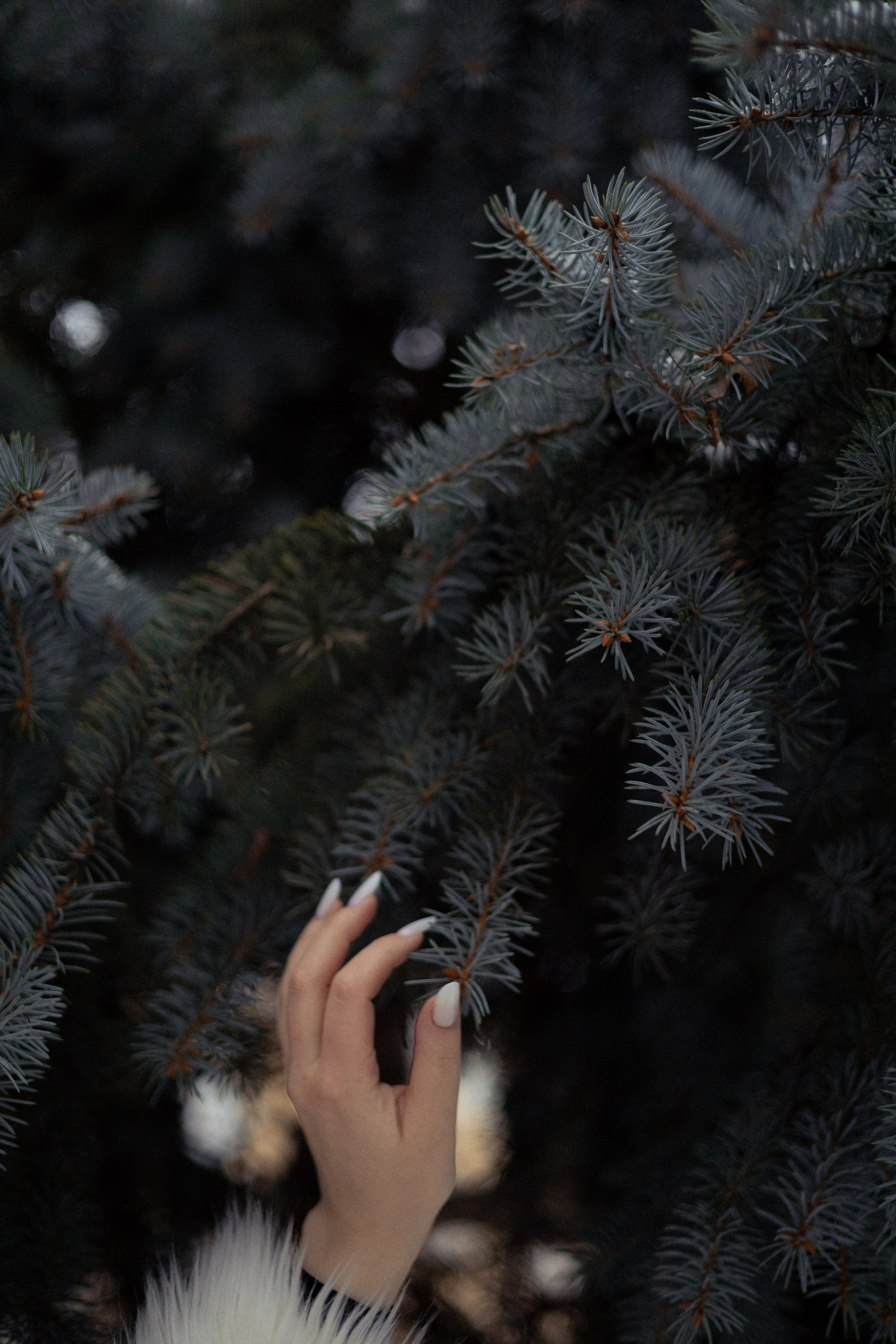 Аня. Фотограф в Нижнем Новгороде Воробьева Анжела