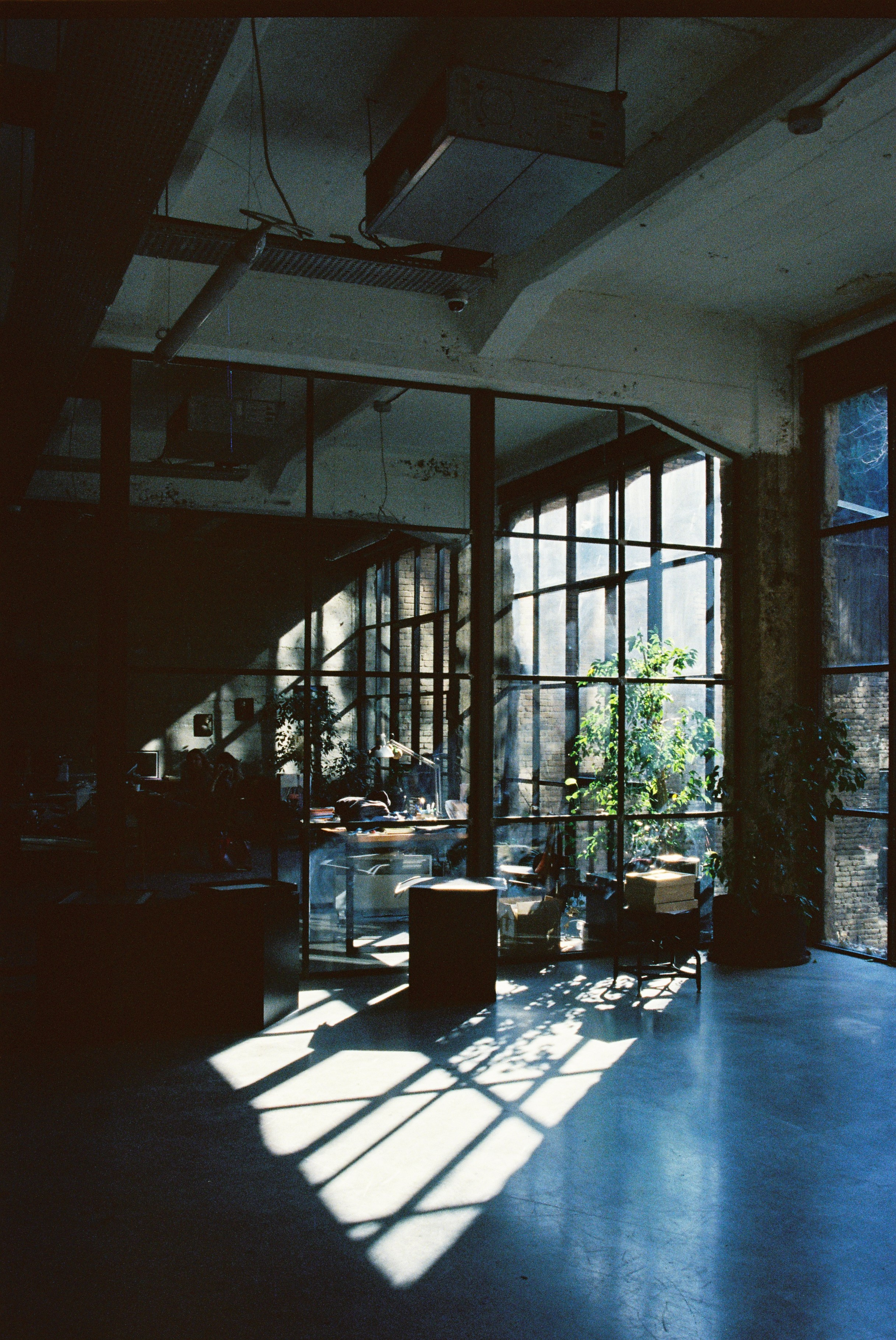 ON THE GO. Сocoobird || Атмосфера твоего бренда в снимках и видео