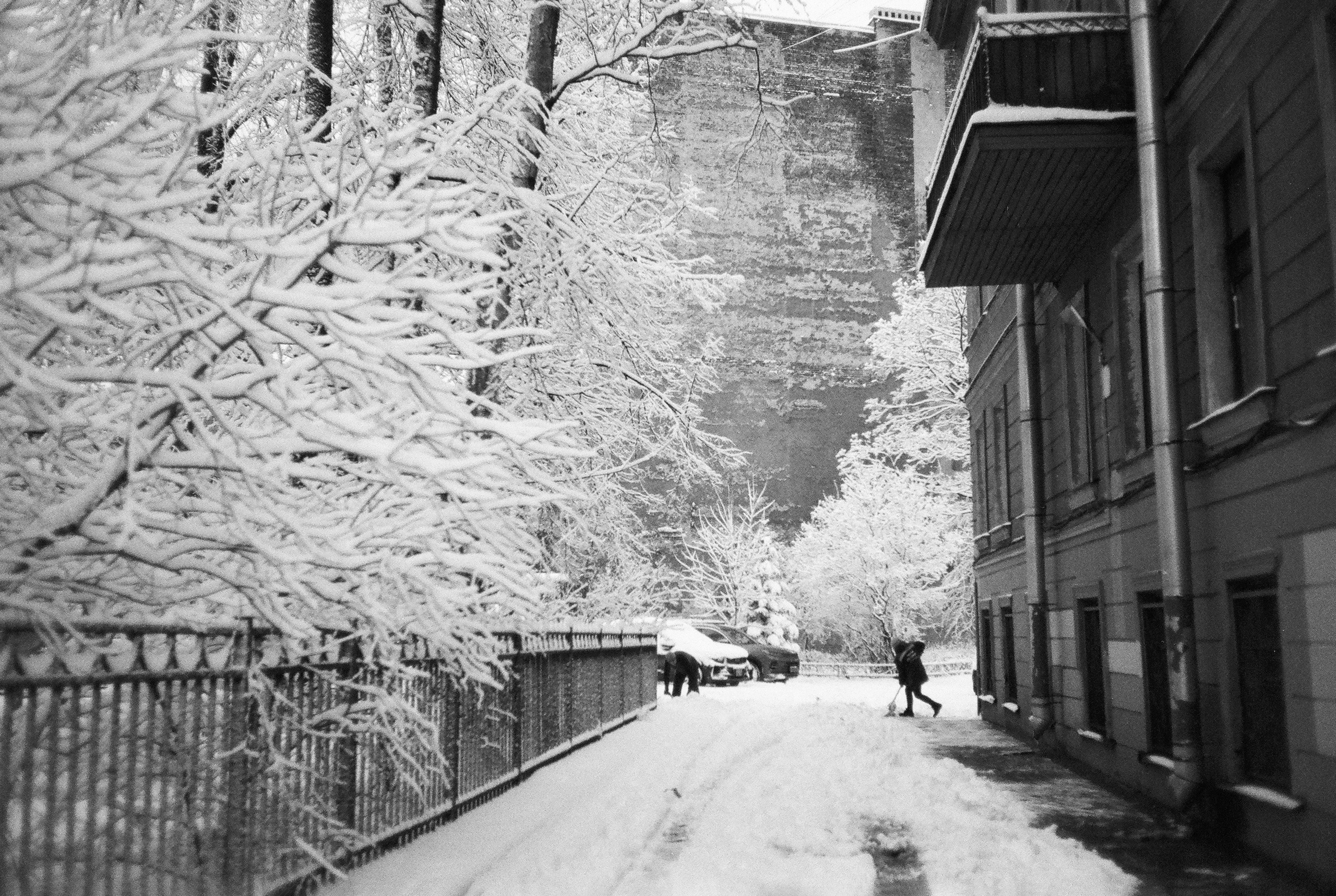 Фотографии черно-белые. Свадебный и семейный пленочный фотограф в Петербурге Истомина Ирина