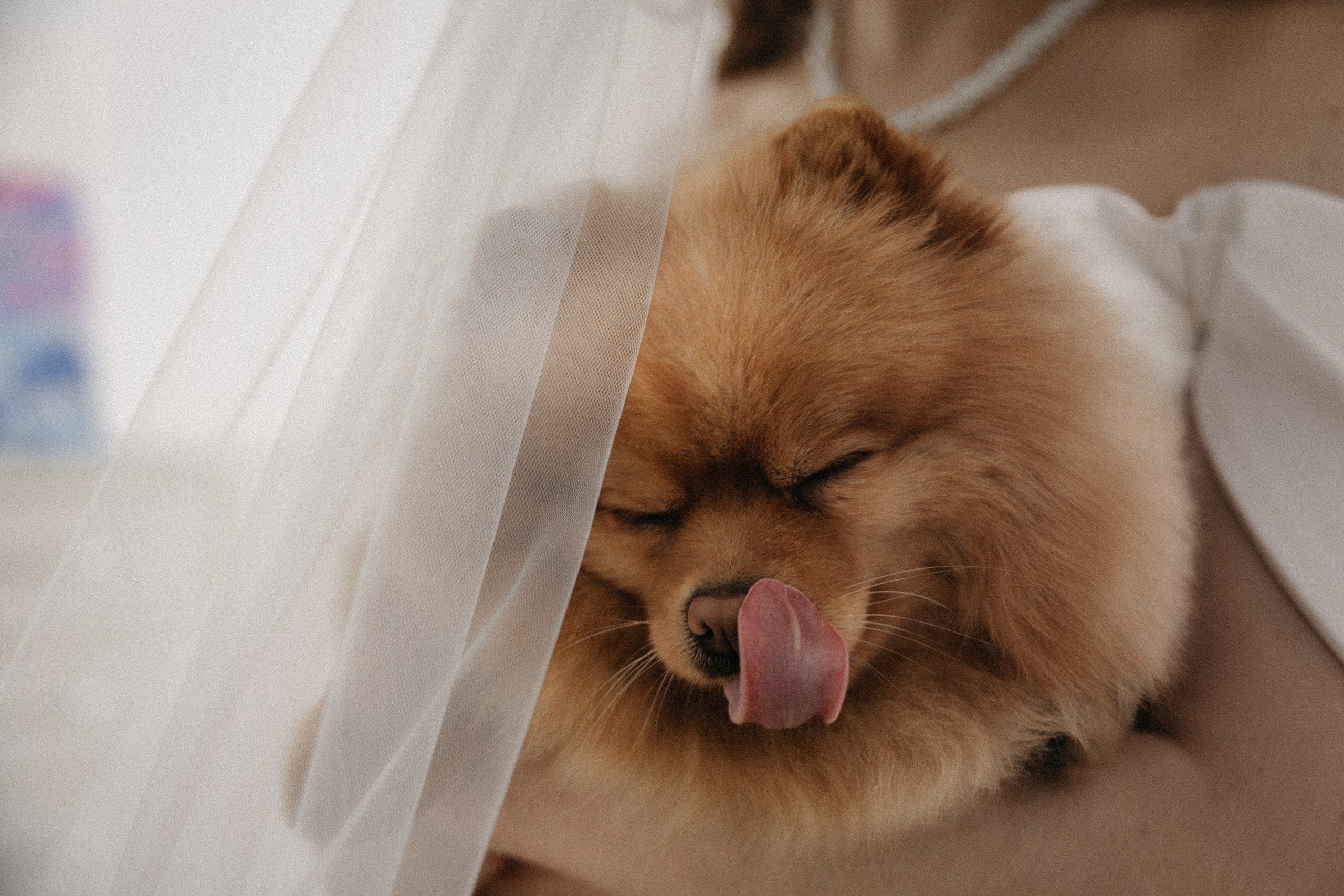 Свадебная фотосессия в стильном лифте элитного дома Москвы