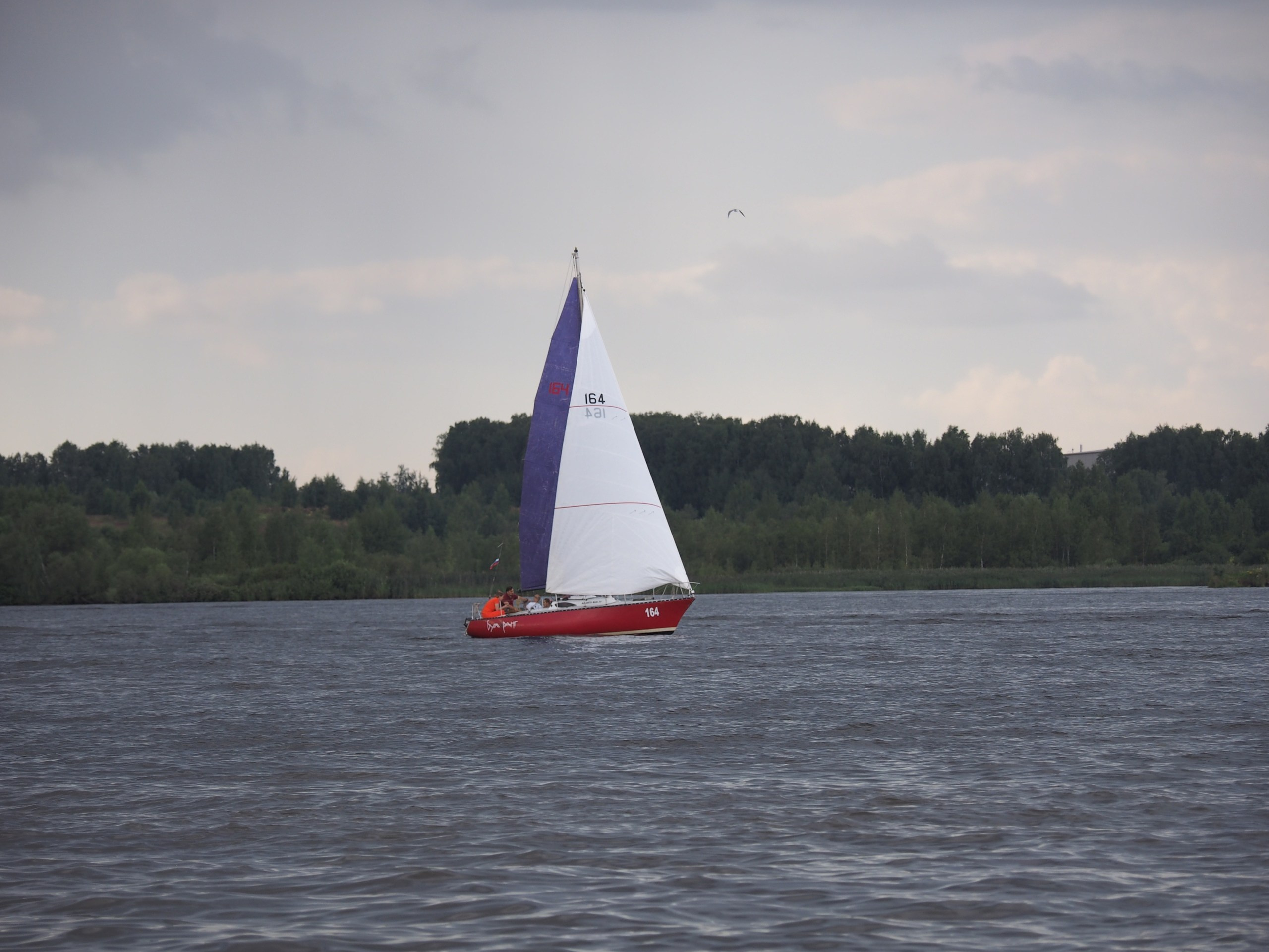 Шашлычный пикник | 08.08.2020. Галерея Фантим