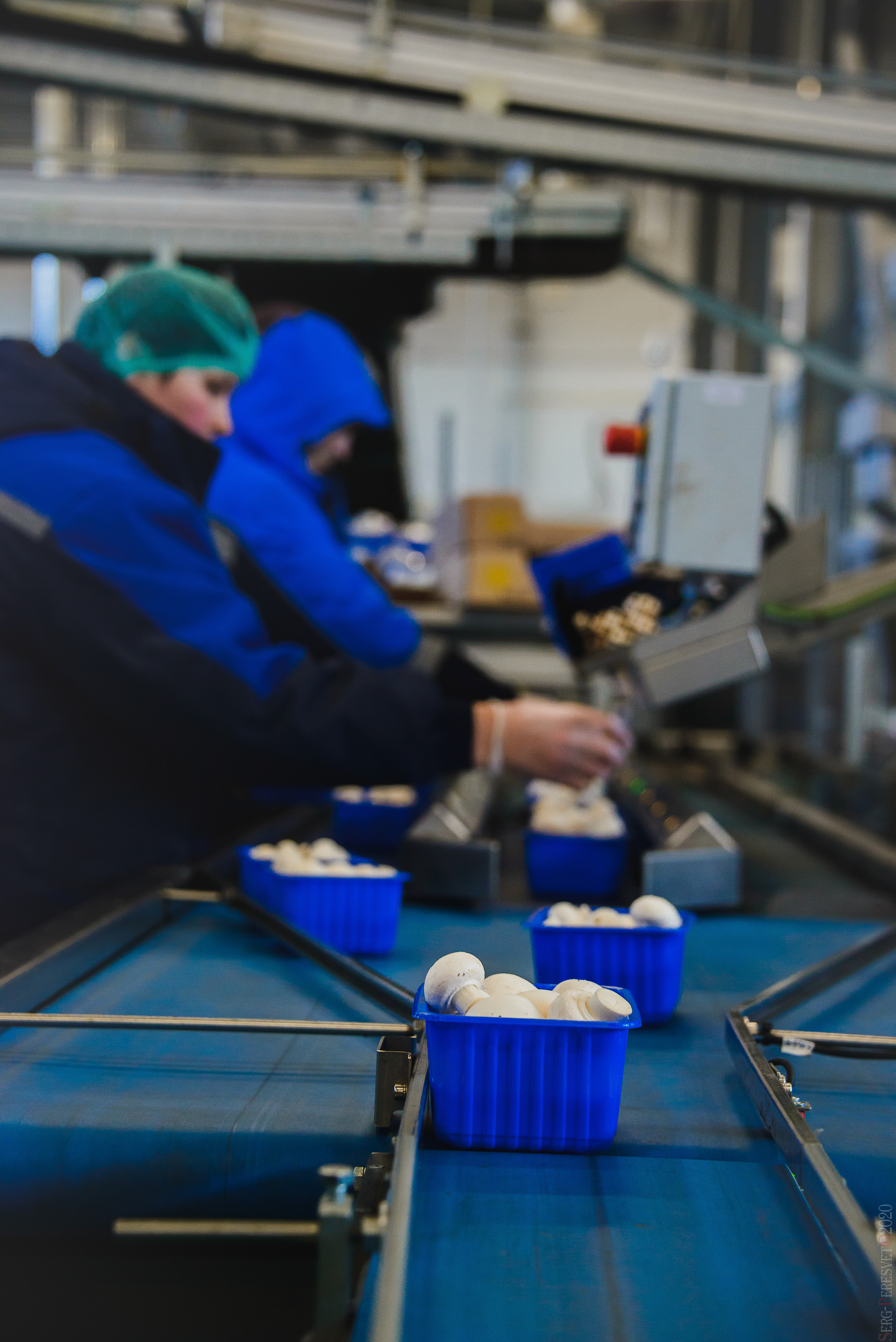 Промышленность, заводы. Ваш фотограф на праздник в Москве, Раменском, Жуковском, Люберцах
