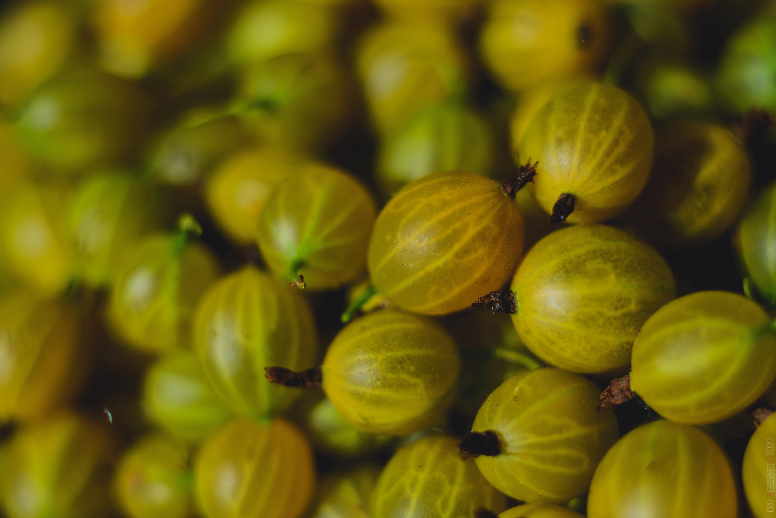 Фуд фотограф в Москве Сергей Пересвет, food съемка. Ваш фотограф на праздник в Москве, Раменском, Жуковском, Люберцах