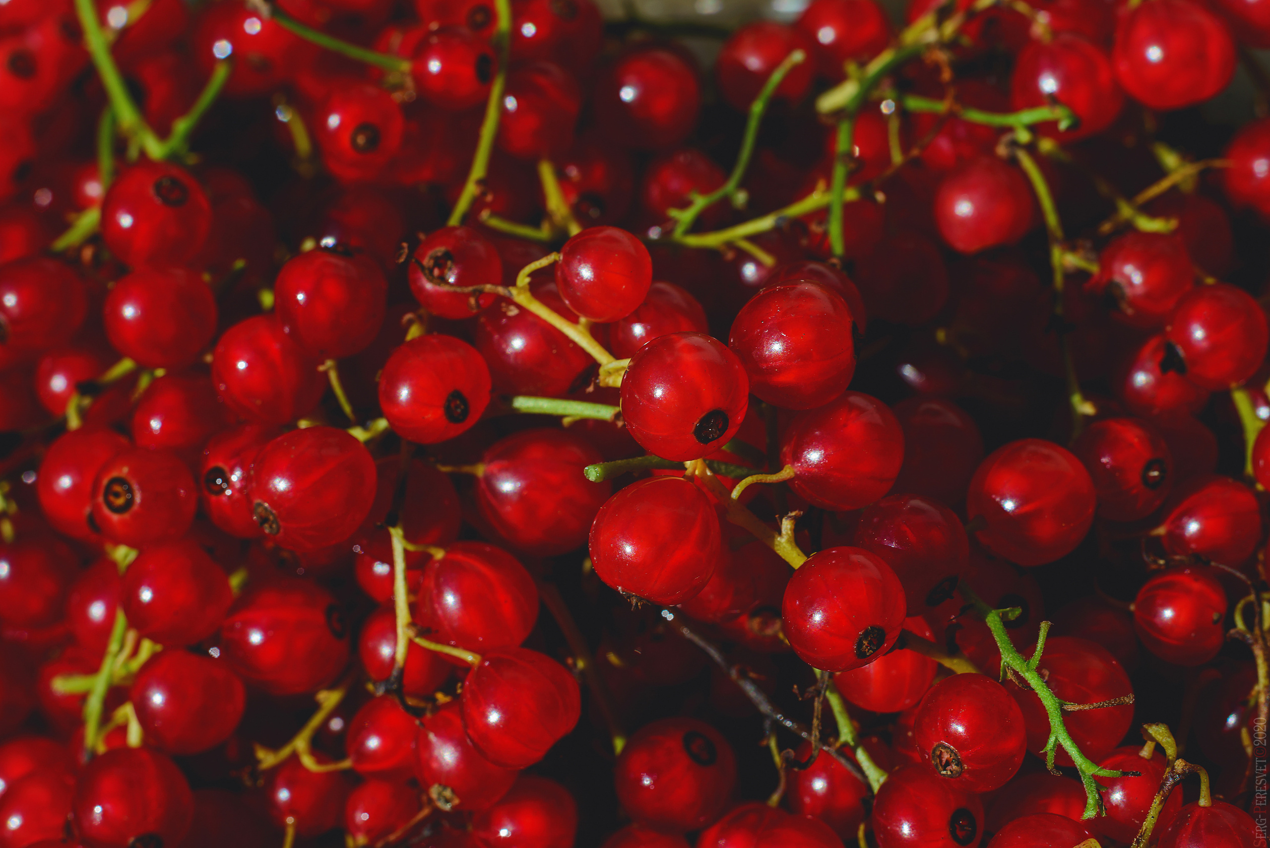 Фуд фотограф в Москве Сергей Пересвет, food съемка. Ваш фотограф на праздник в Москве, Раменском, Жуковском, Люберцах