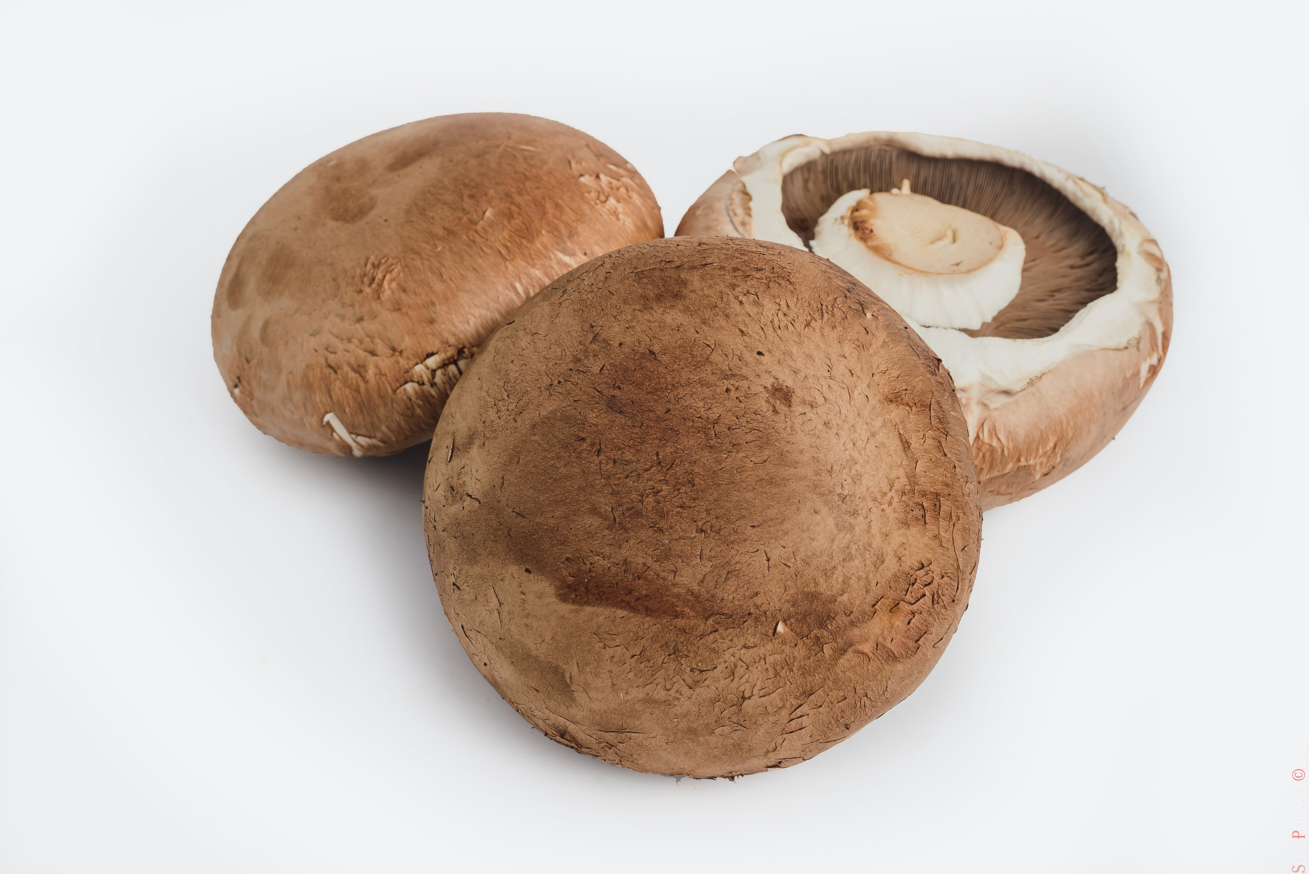 Каталожная съемка - фуд фото в Москве, фотограф Сергей Пересвет. Ваш фотограф на праздник в Москве, Раменском, Жуковском, Люберцах