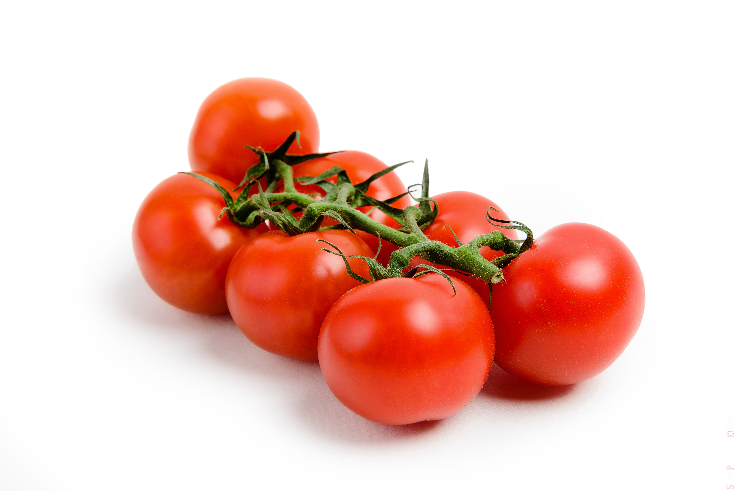 Каталожная съемка - фуд фото в Москве, фотограф Сергей Пересвет. Ваш фотограф на праздник в Москве, Раменском, Жуковском, Люберцах