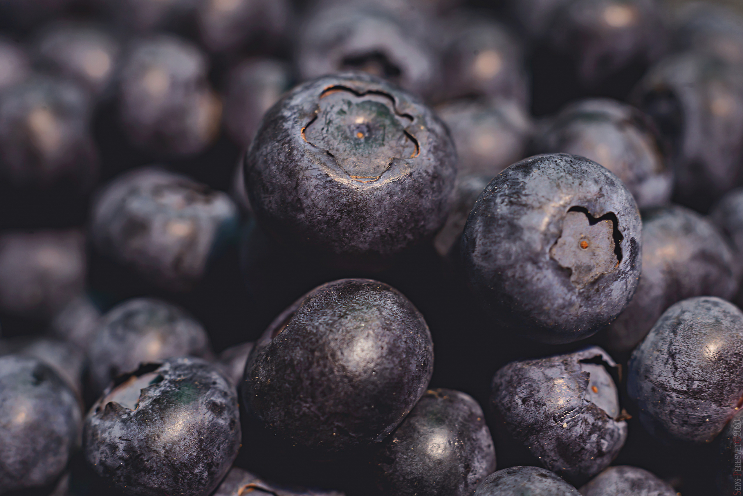 Фуд фотограф в Москве Сергей Пересвет, food съемка. Ваш фотограф на праздник в Москве, Раменском, Жуковском, Люберцах