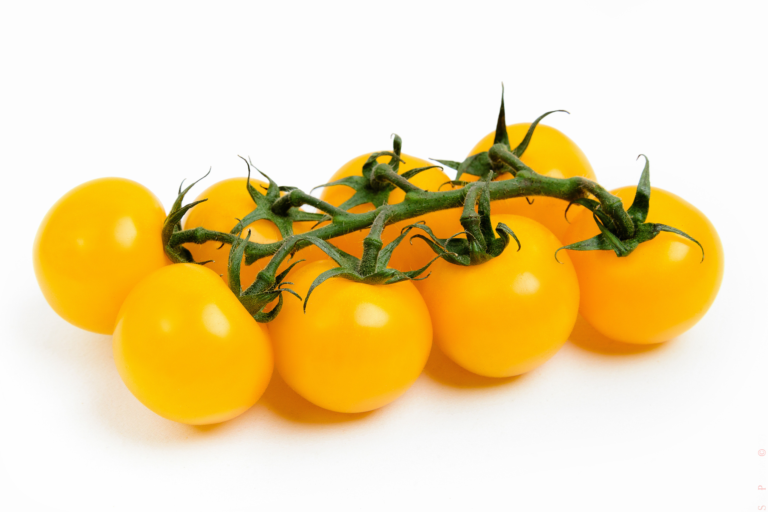 Каталожная съемка - фуд фото в Москве, фотограф Сергей Пересвет. Ваш фотограф на праздник в Москве, Раменском, Жуковском, Люберцах