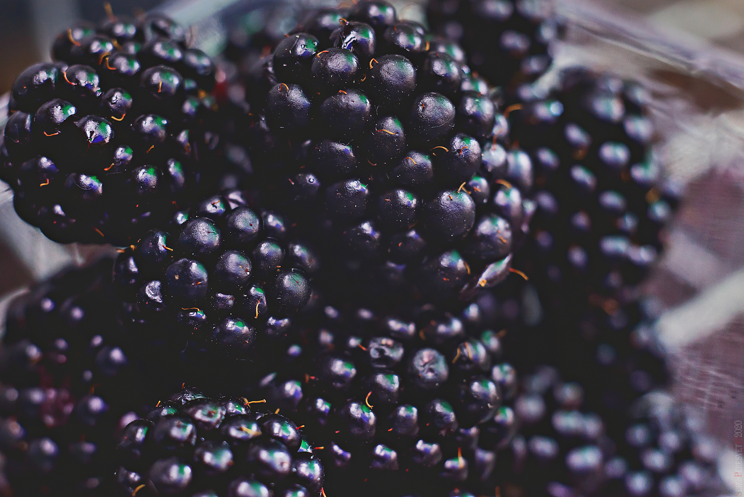 Фуд фотограф в Москве Сергей Пересвет, food съемка. Ваш фотограф на праздник в Москве, Раменском, Жуковском, Люберцах