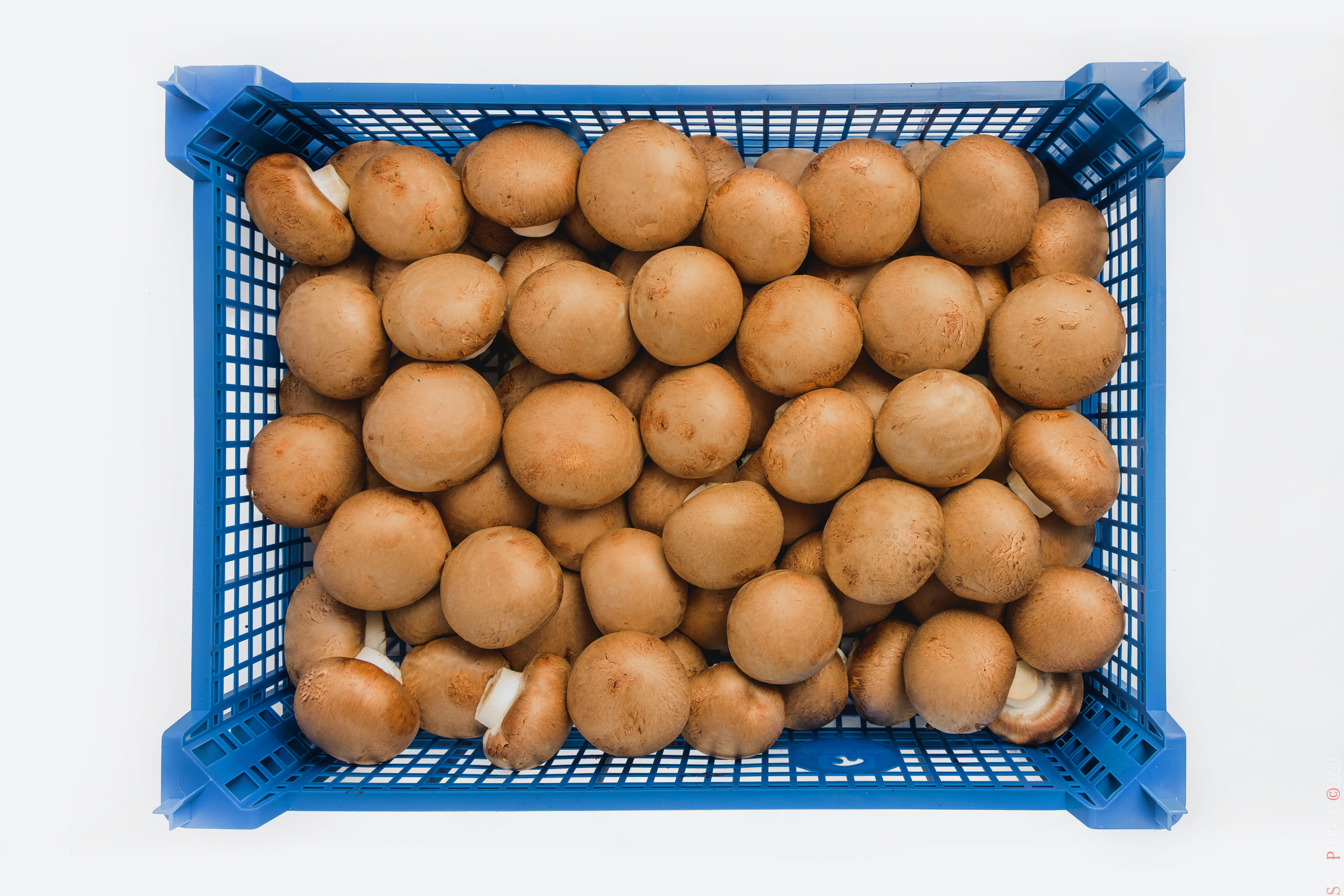 Каталожная съемка - фуд фото в Москве, фотограф Сергей Пересвет. Ваш фотограф на праздник в Москве, Раменском, Жуковском, Люберцах