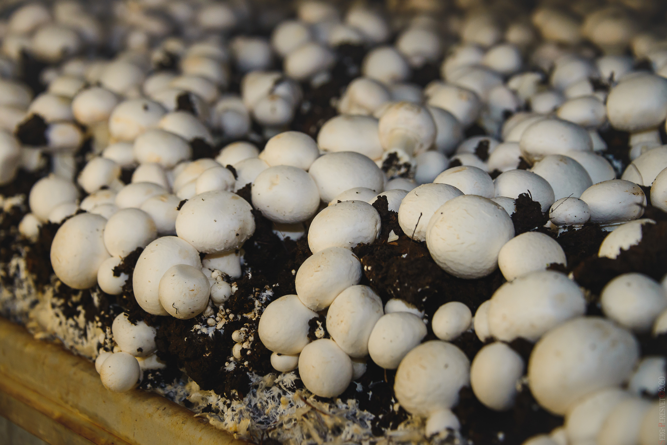 Промышленность, заводы. Ваш фотограф на праздник в Москве, Раменском, Жуковском, Люберцах