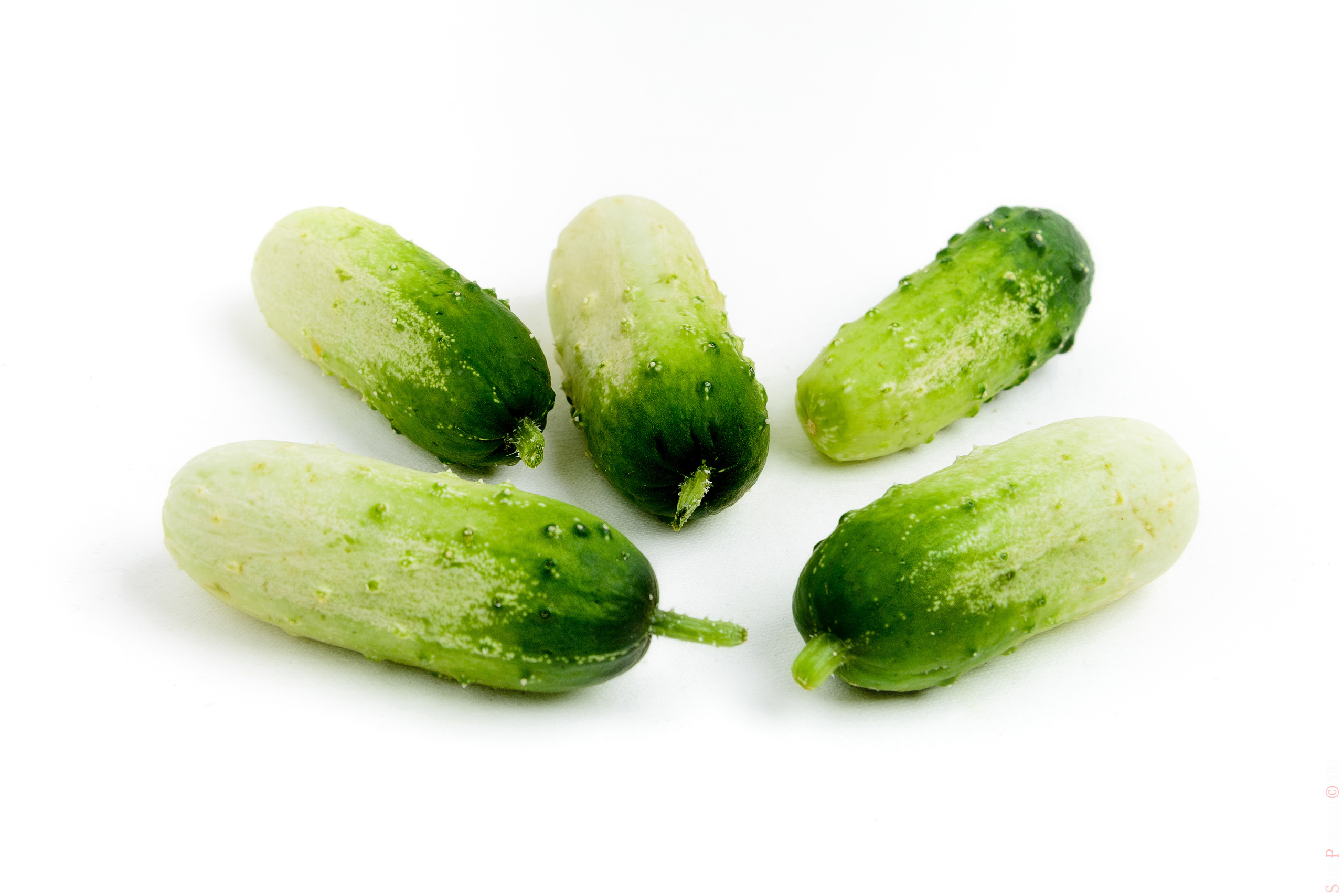 Каталожная съемка - фуд фото в Москве, фотограф Сергей Пересвет. Ваш фотограф на праздник в Москве, Раменском, Жуковском, Люберцах