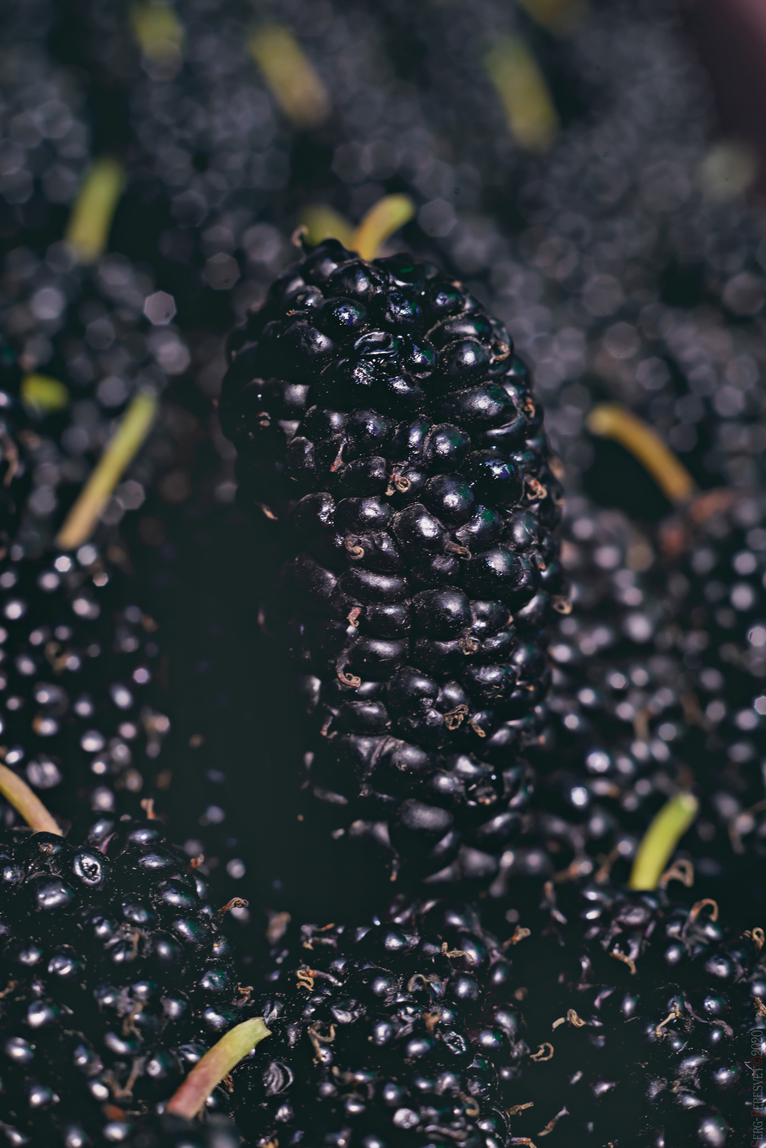 Фуд фотограф в Москве Сергей Пересвет, food съемка. Ваш фотограф на праздник в Москве, Раменском, Жуковском, Люберцах