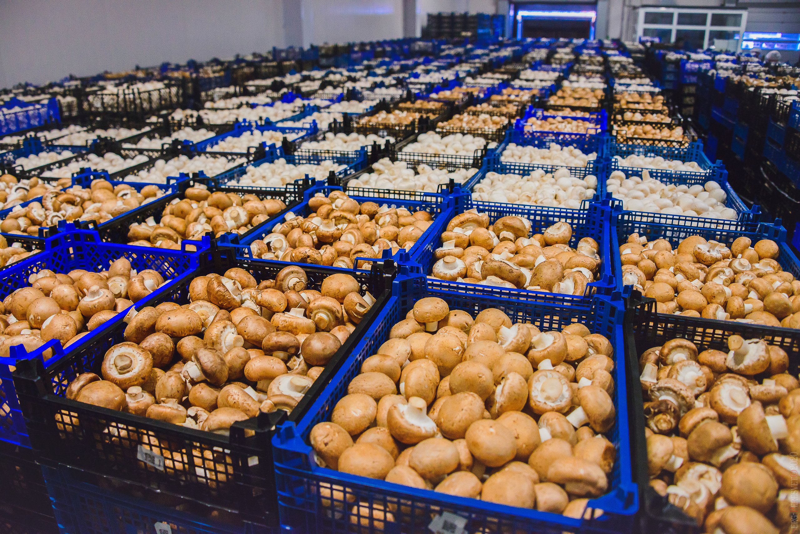 Промышленность, заводы. Ваш фотограф на праздник в Москве, Раменском, Жуковском, Люберцах