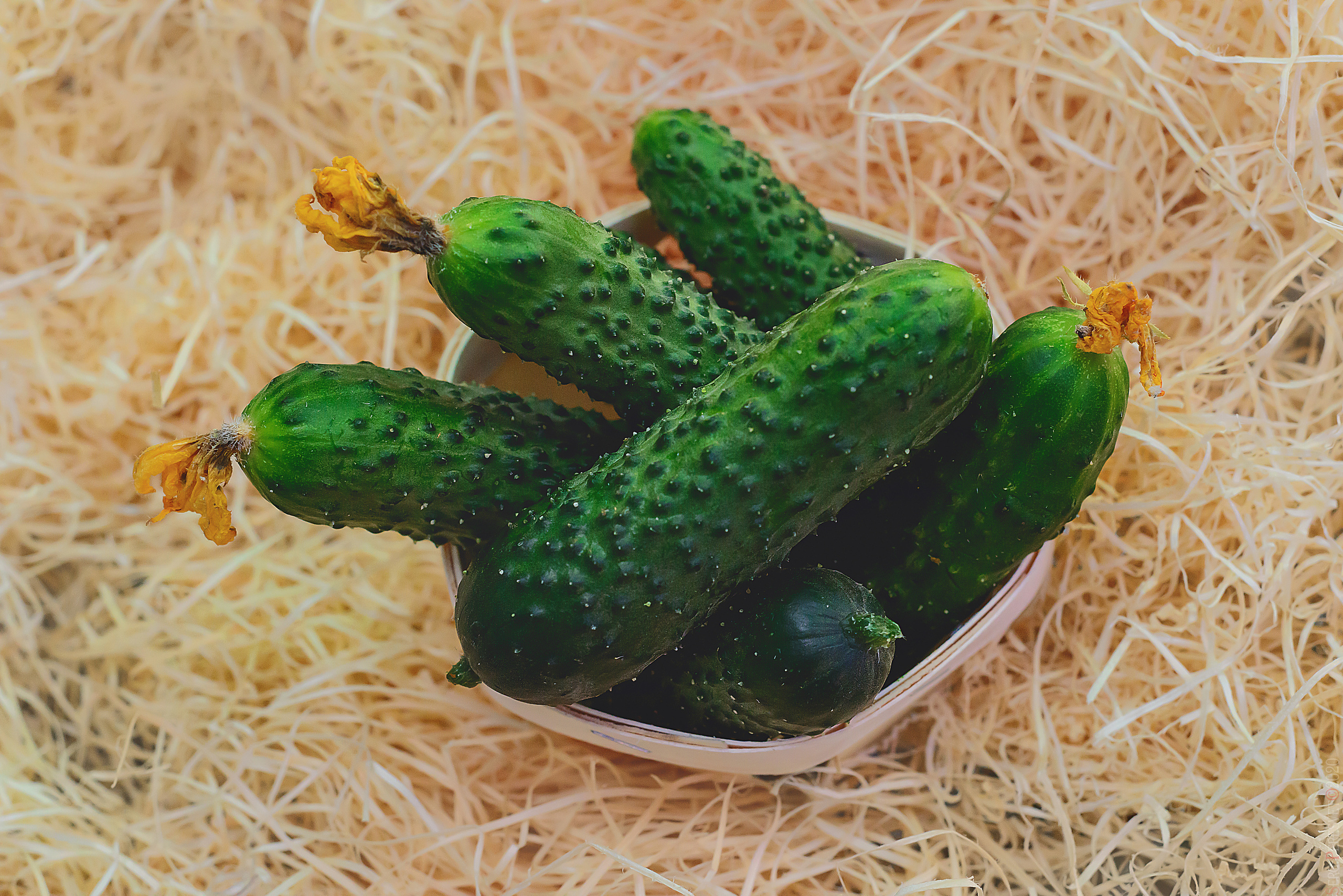 Фуд фотограф в Москве Сергей Пересвет, food съемка. Ваш фотограф на праздник в Москве, Раменском, Жуковском, Люберцах
