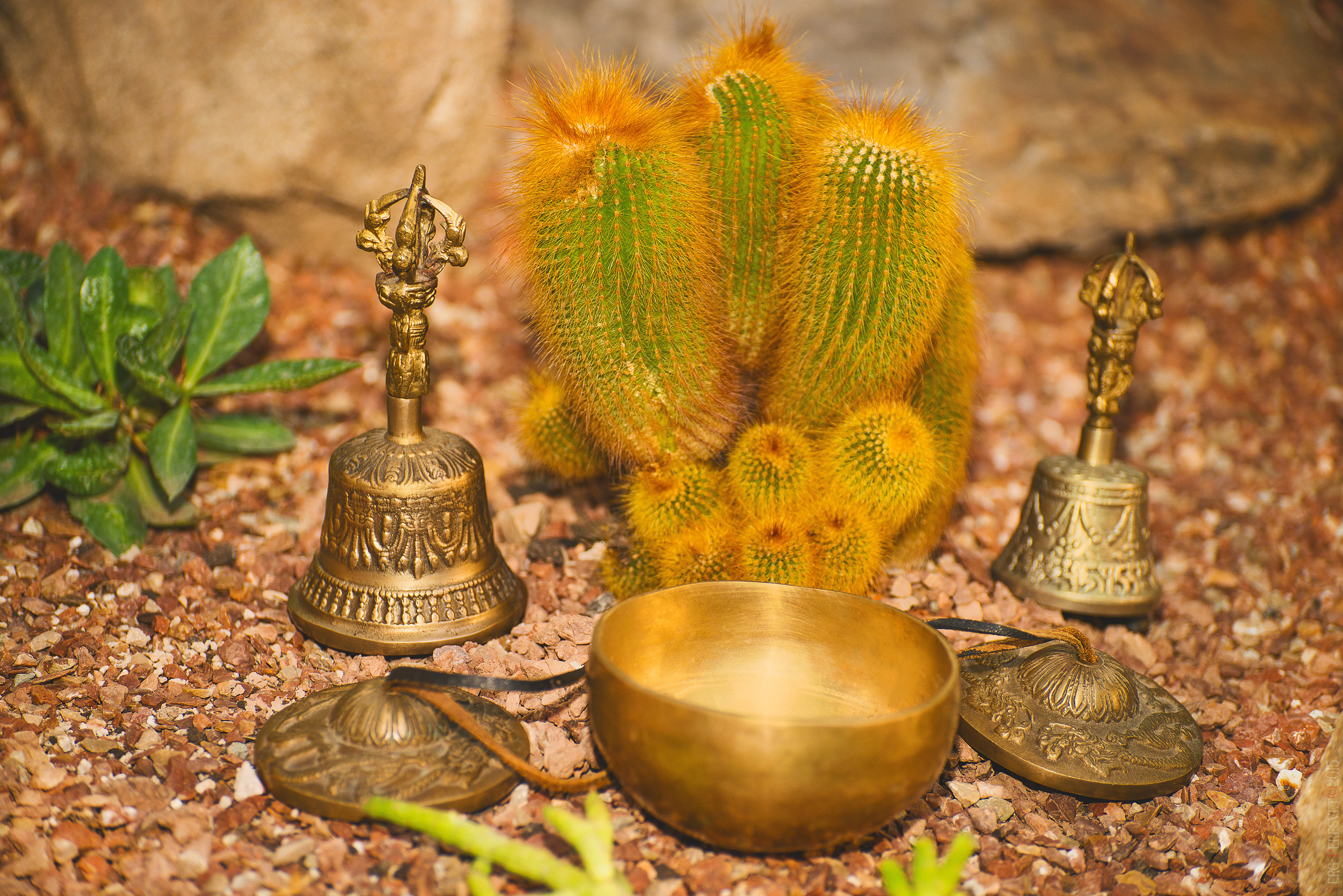 Предметная съемка — журналы, баннеры, реклама в Москве. Ваш фотограф на праздник в Москве, Раменском, Жуковском, Люберцах