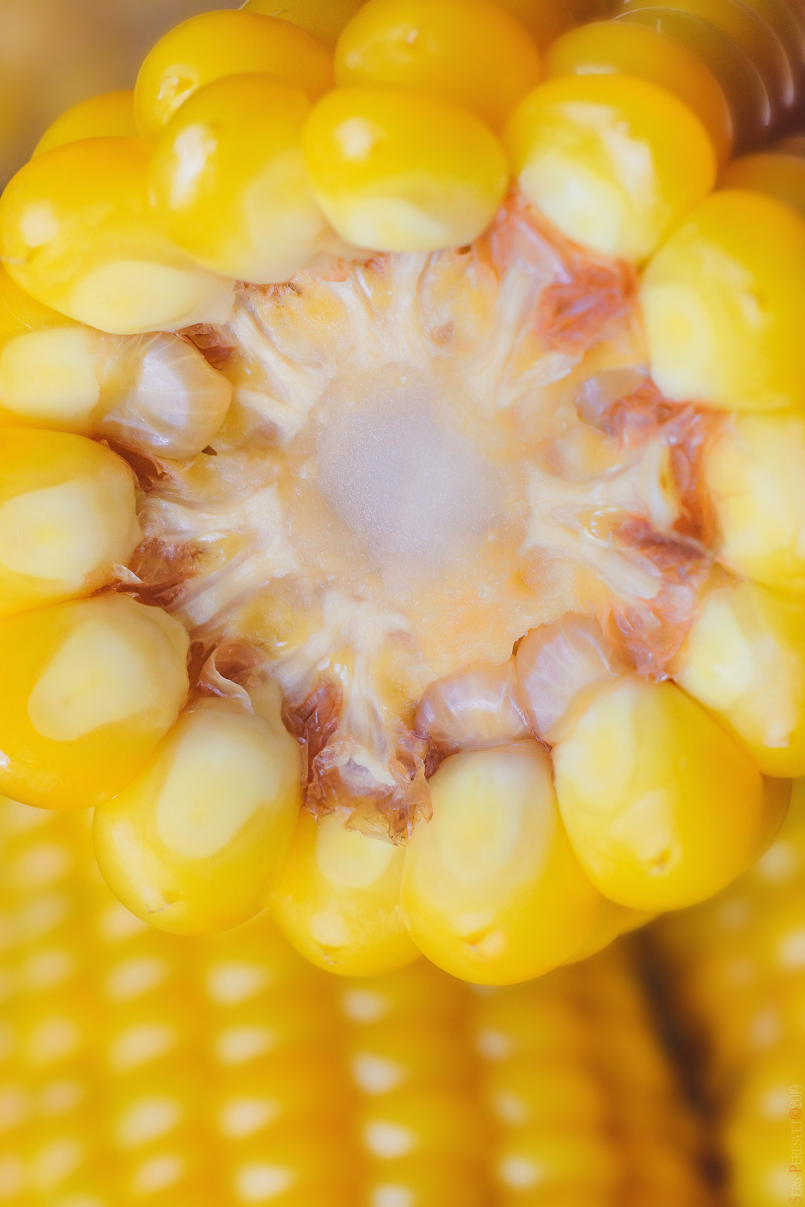 Фуд фотограф в Москве Сергей Пересвет, food съемка. Ваш фотограф на праздник в Москве, Раменском, Жуковском, Люберцах