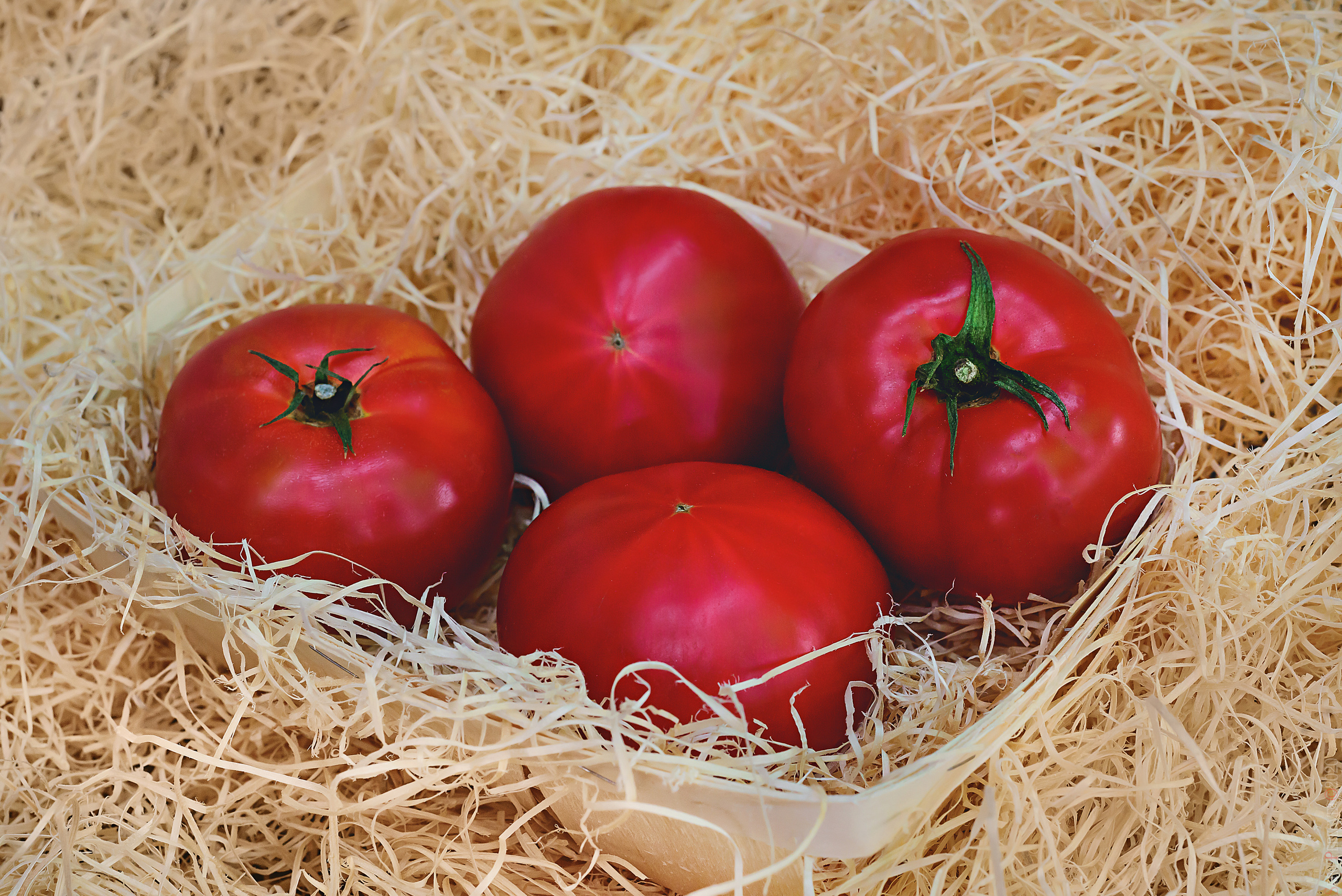 Фуд фотограф в Москве Сергей Пересвет, food съемка. Ваш фотограф на праздник в Москве, Раменском, Жуковском, Люберцах