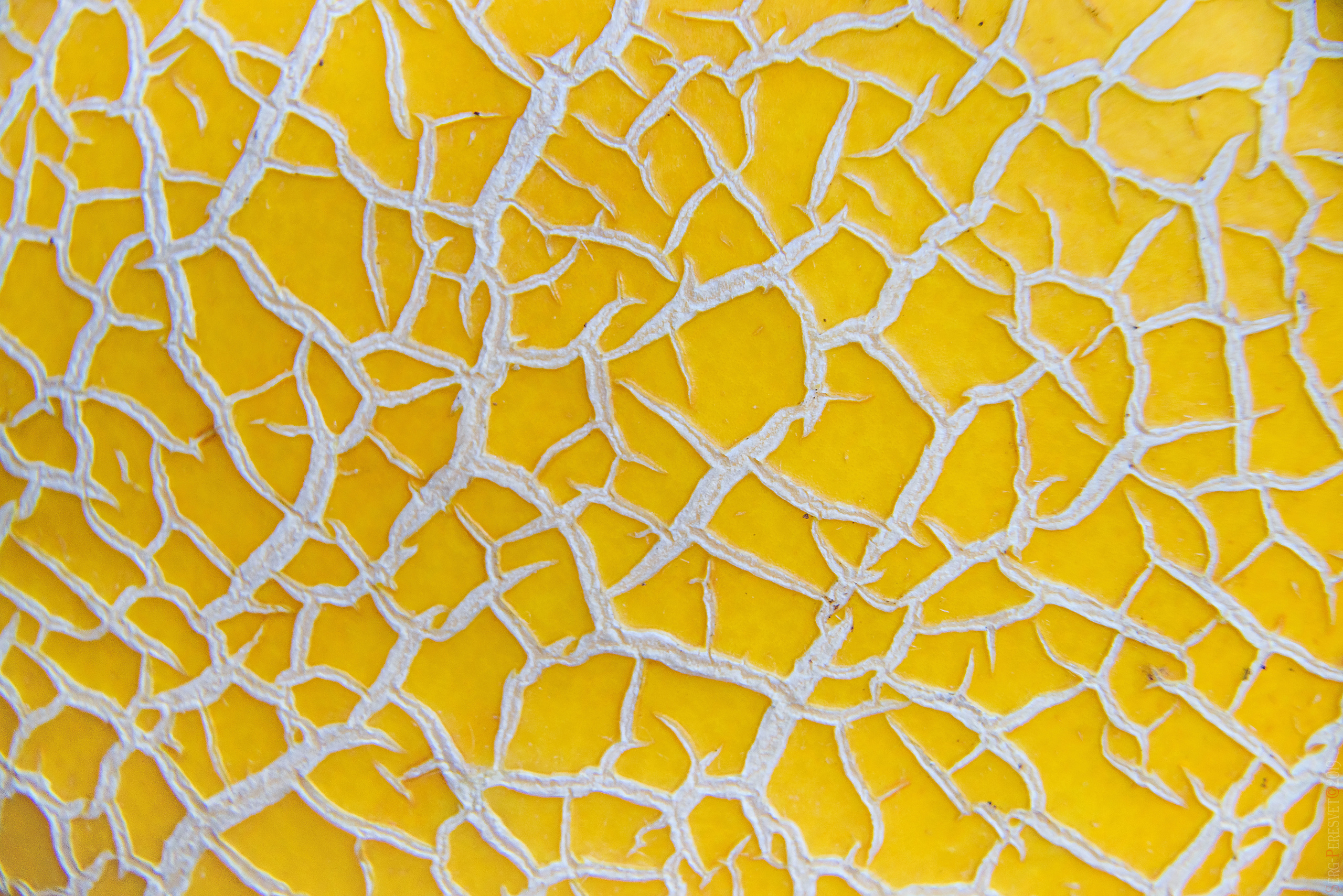 Фуд фотограф в Москве Сергей Пересвет, food съемка. Ваш фотограф на праздник в Москве, Раменском, Жуковском, Люберцах