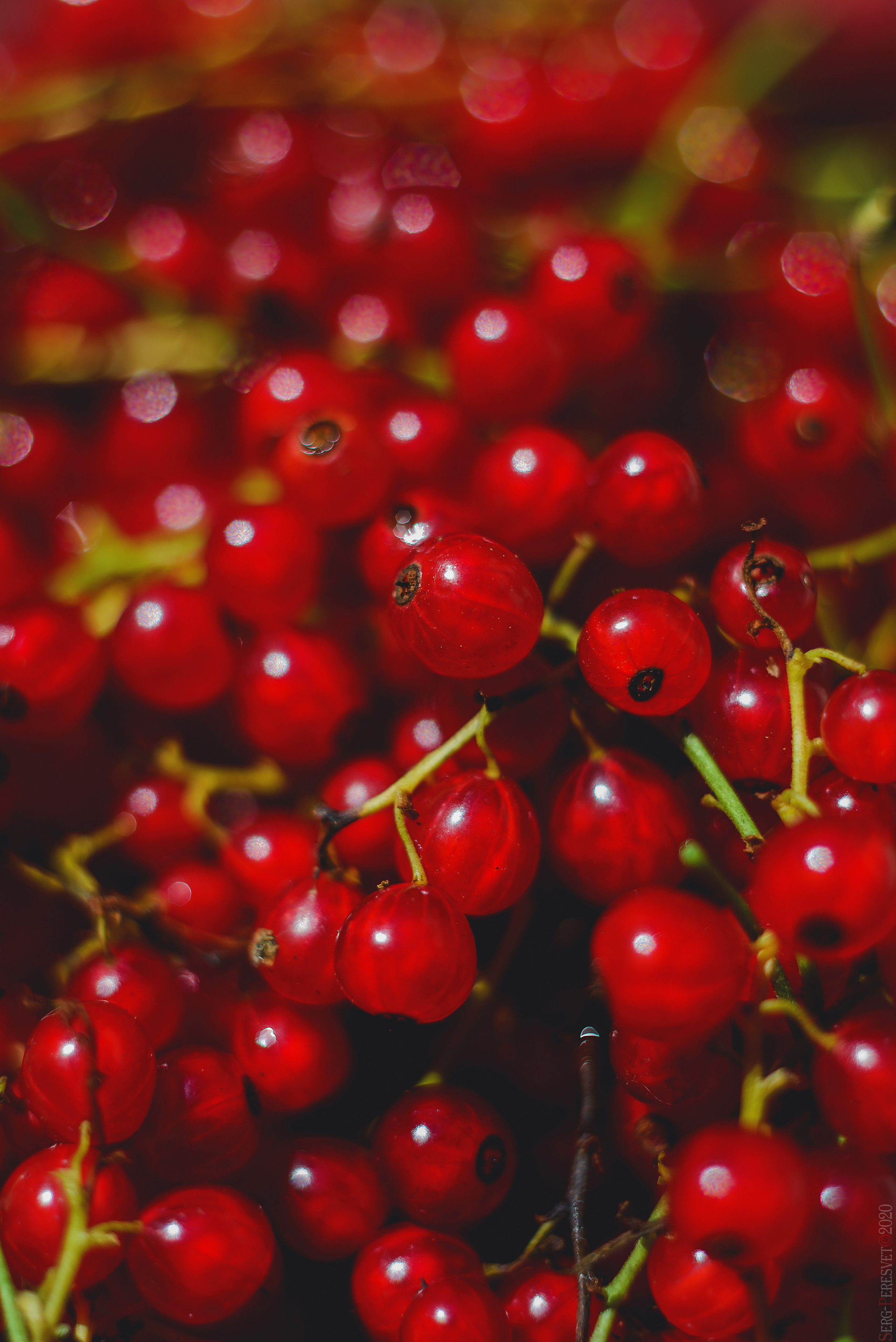 Фуд фотограф в Москве Сергей Пересвет, food съемка. Ваш фотограф на праздник в Москве, Раменском, Жуковском, Люберцах