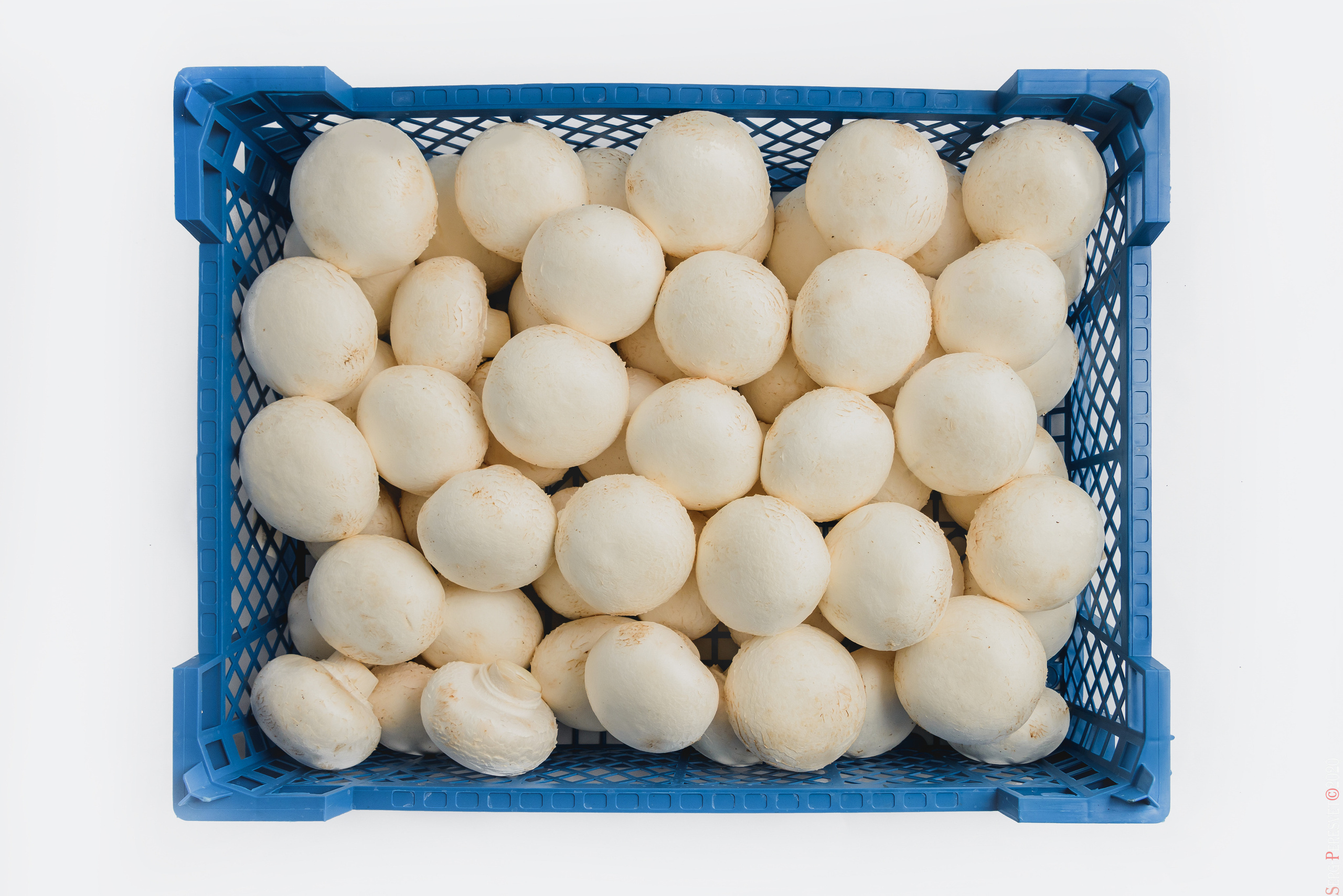 Каталожная съемка - фуд фото в Москве, фотограф Сергей Пересвет. Ваш фотограф на праздник в Москве, Раменском, Жуковском, Люберцах