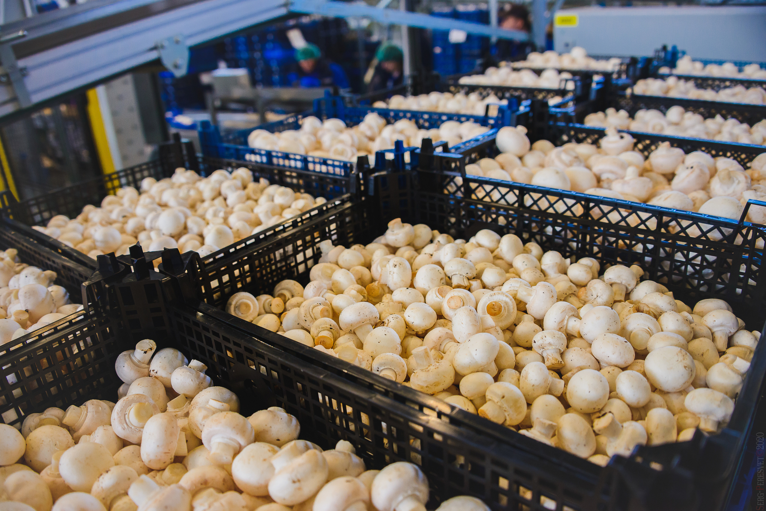 Промышленность, заводы. Ваш фотограф на праздник в Москве, Раменском, Жуковском, Люберцах