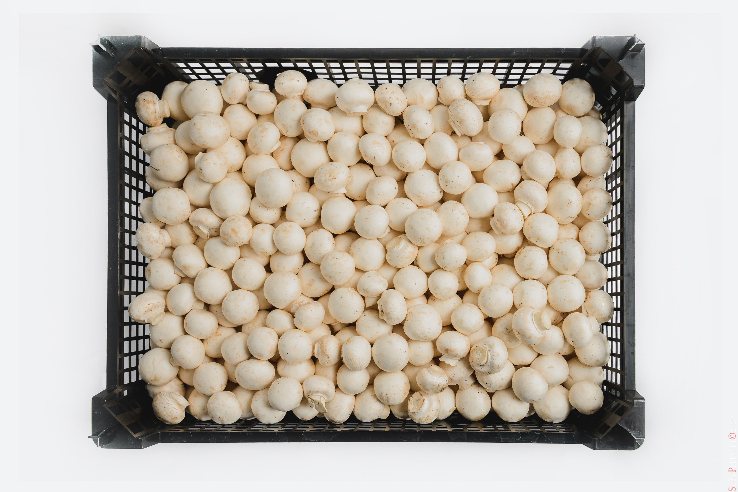 Каталожная съемка - фуд фото в Москве, фотограф Сергей Пересвет. Ваш фотограф на праздник в Москве, Раменском, Жуковском, Люберцах