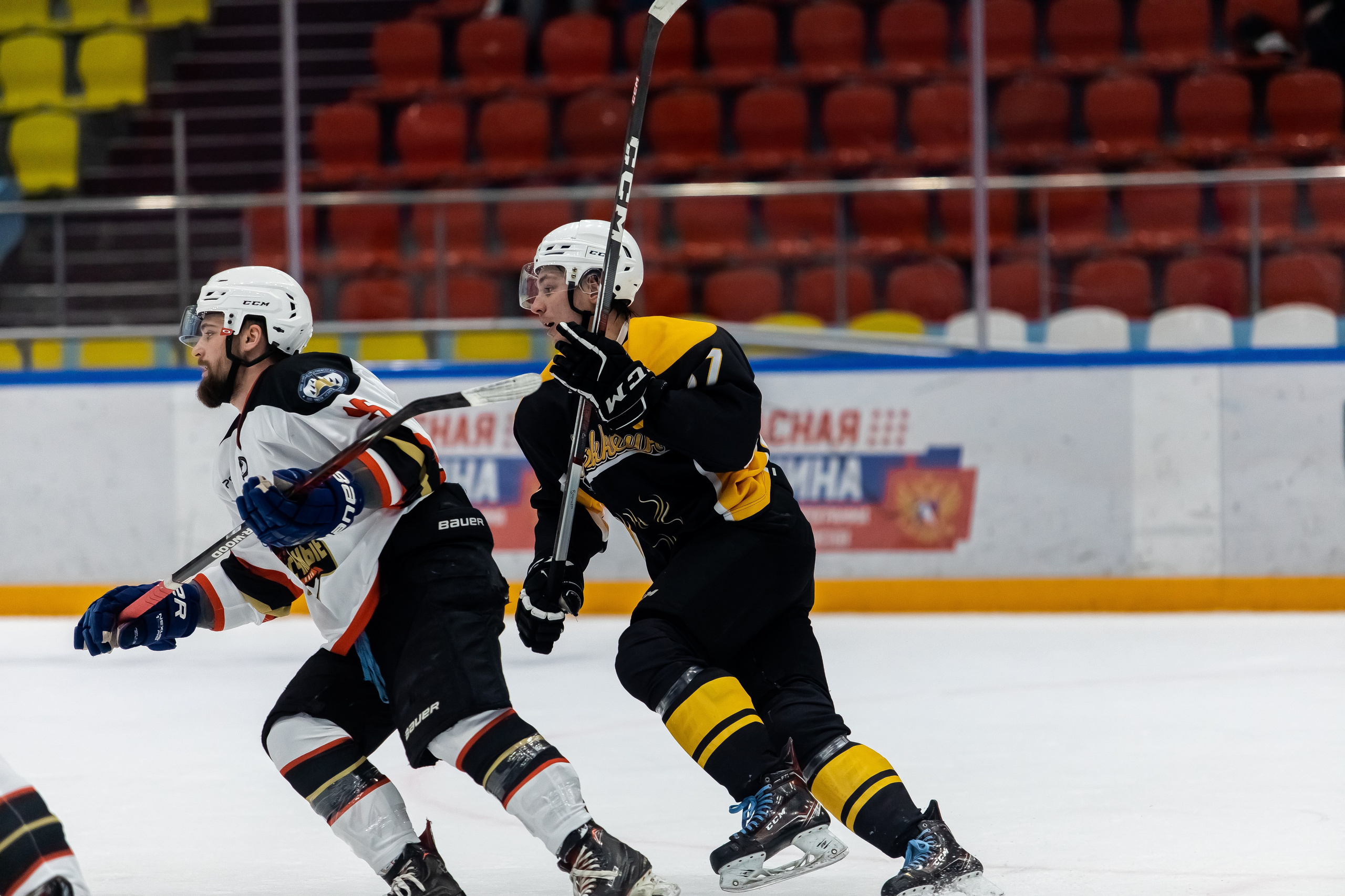 Хоккей. Фотограф Тимербаева Алина г. Сургут