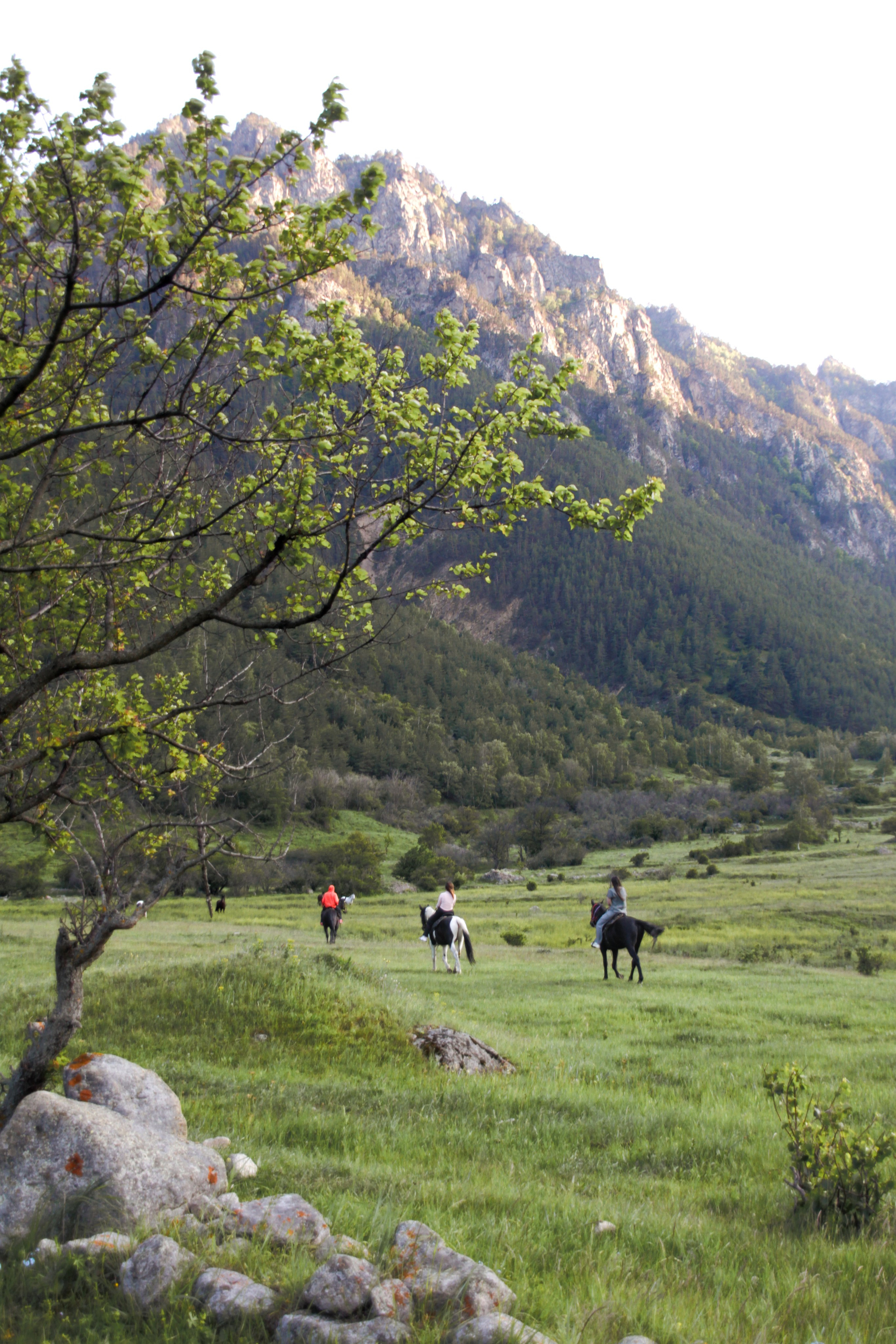 Природа. Фотограф Котий Даниил