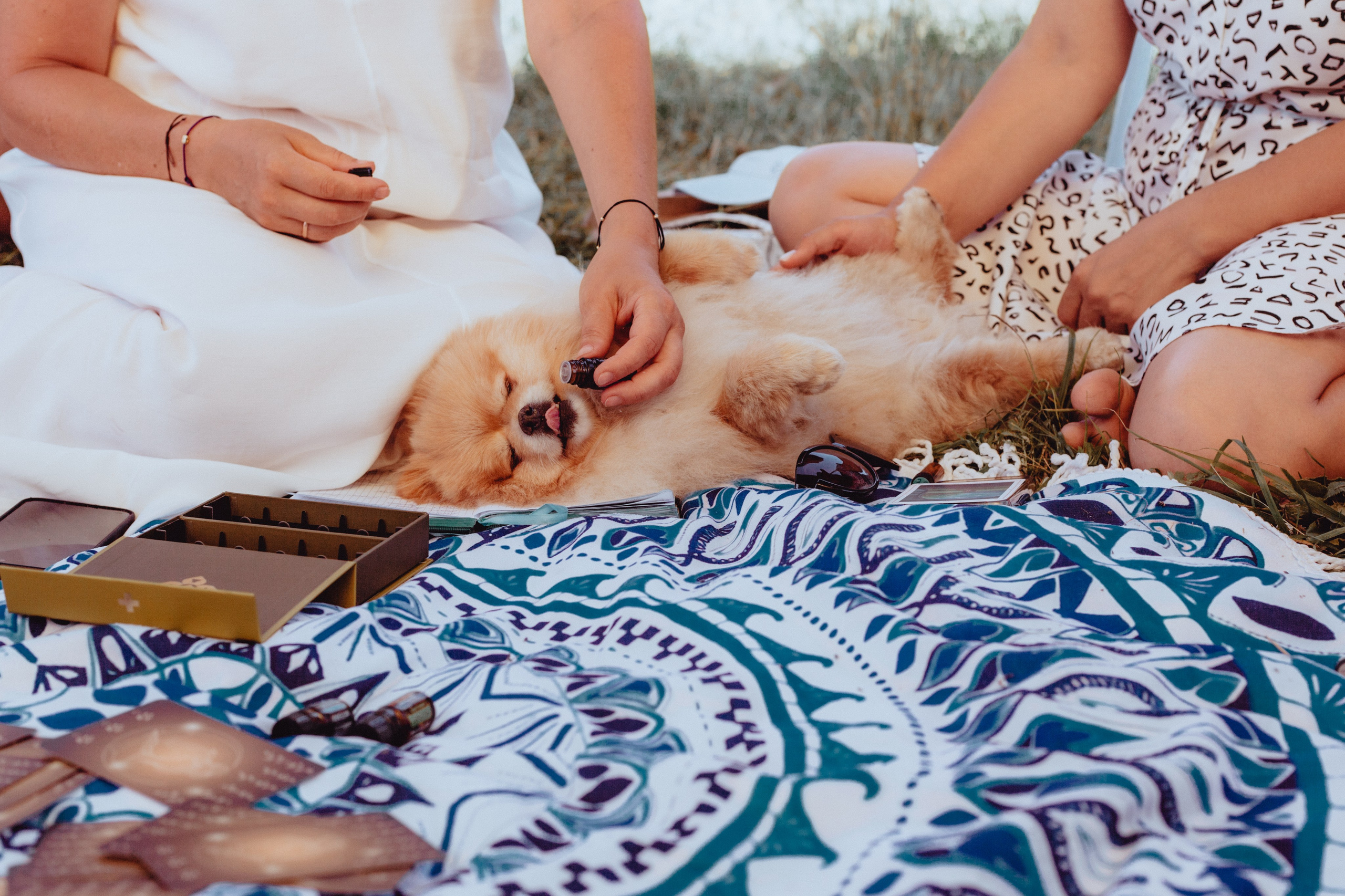Арома-пикник. Фотограф Старый Оскол Мавлыга Мария