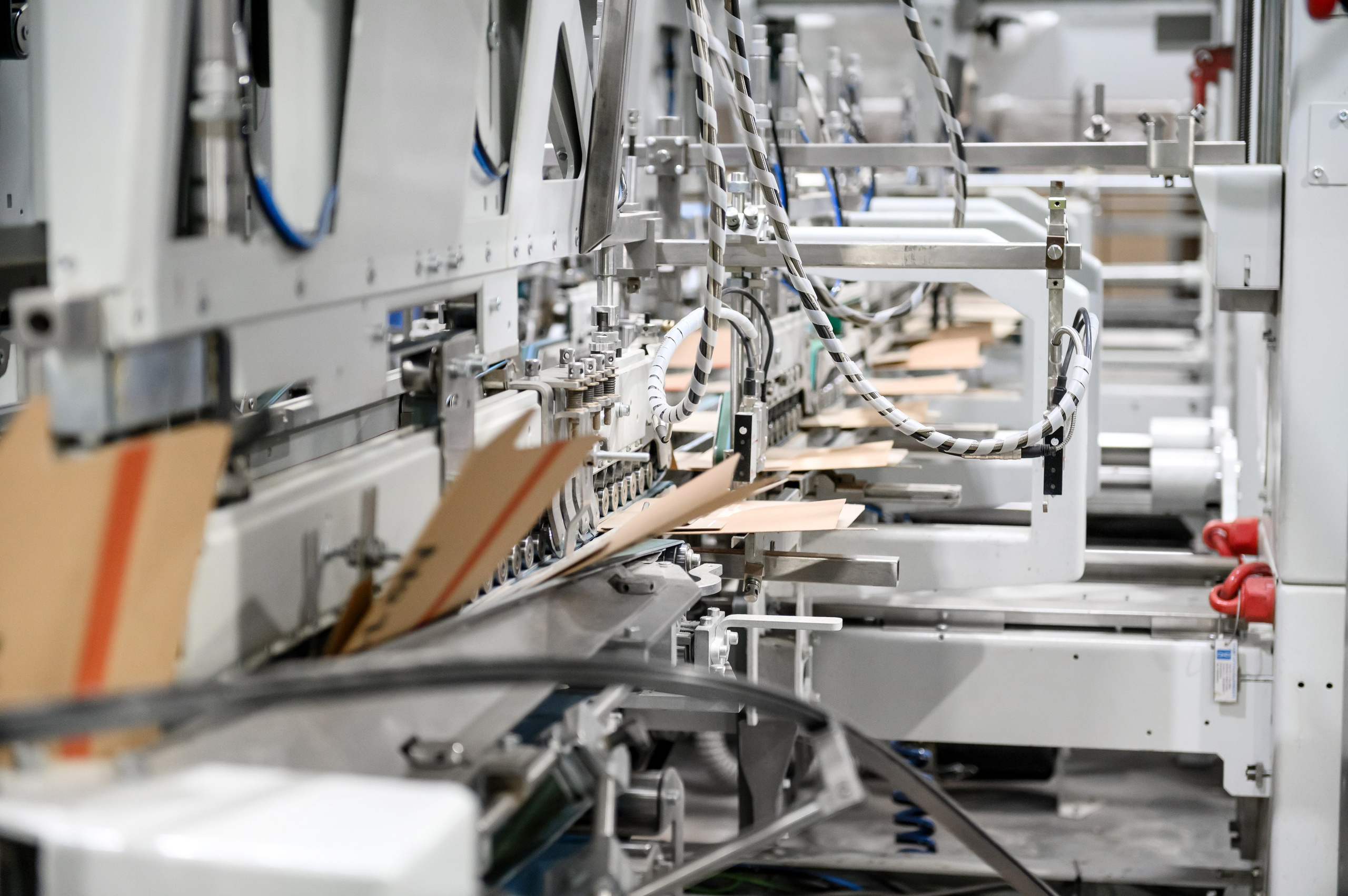 Проекты. Профессиональный фотограф Вячеслав Плацында | Липецк |