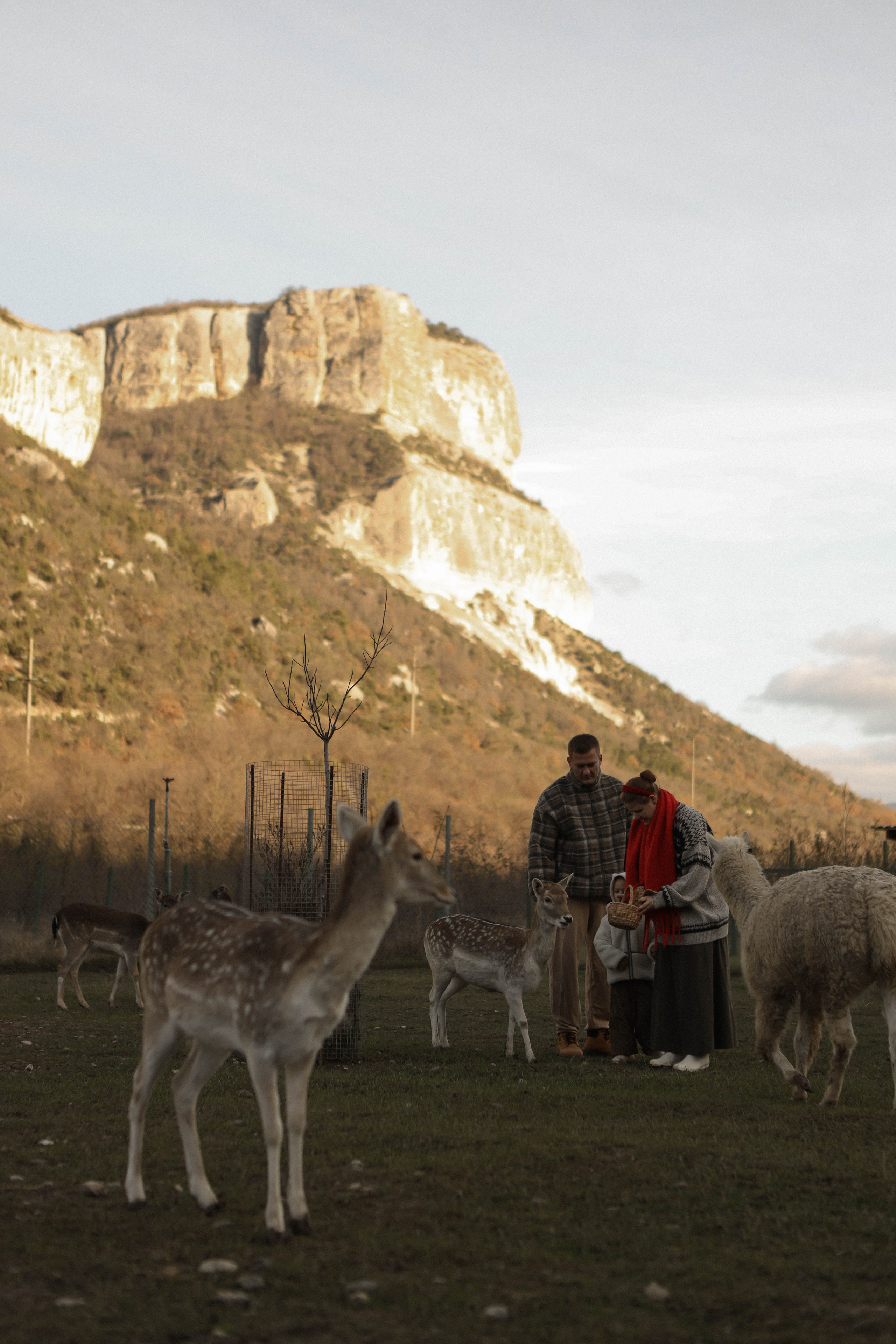 Чудесная девочка Майя и её родители. Фотограф в Крыму Богдана Захарчук