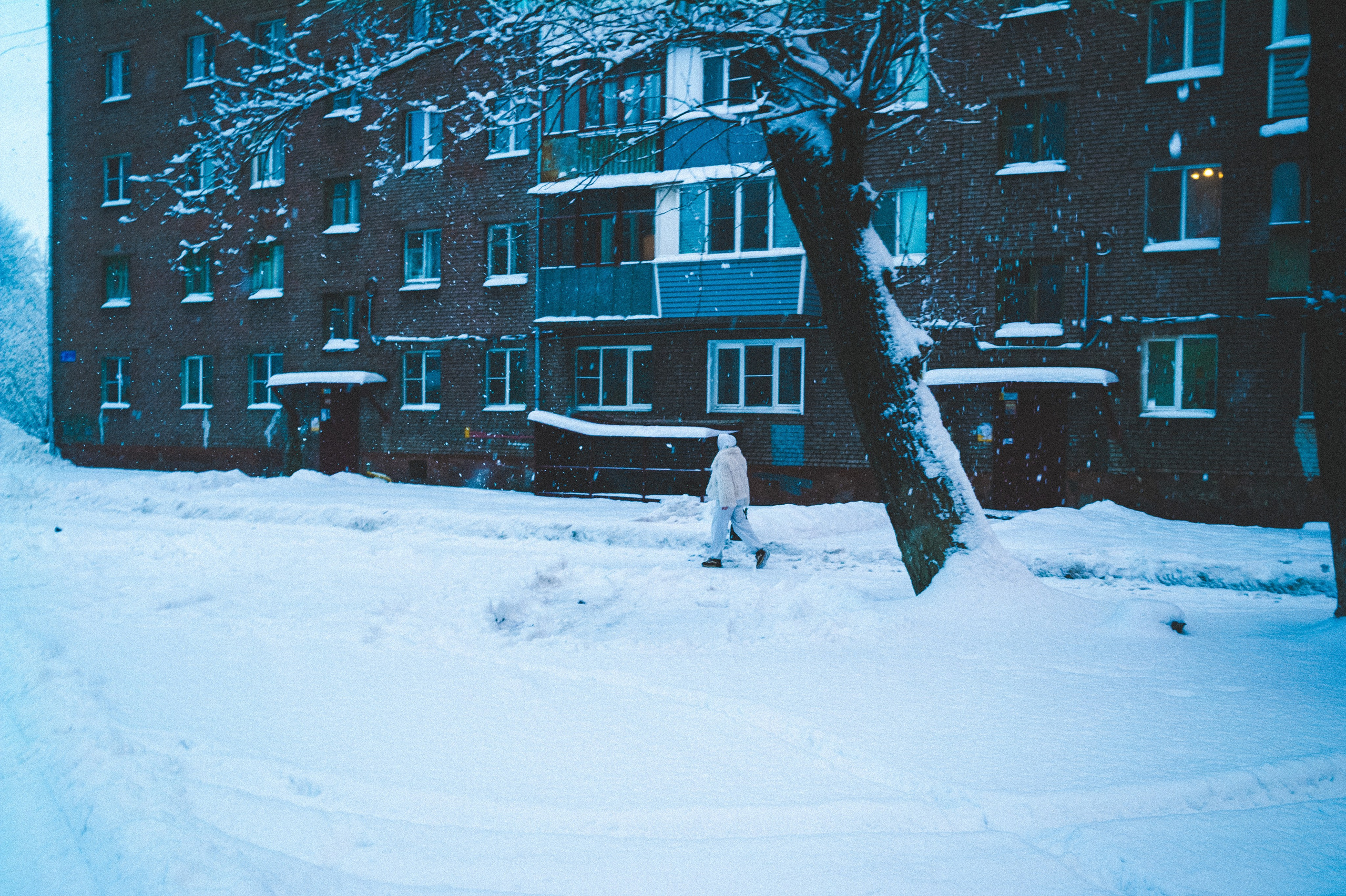 24.35. Den Mirov — Photographer, Musician