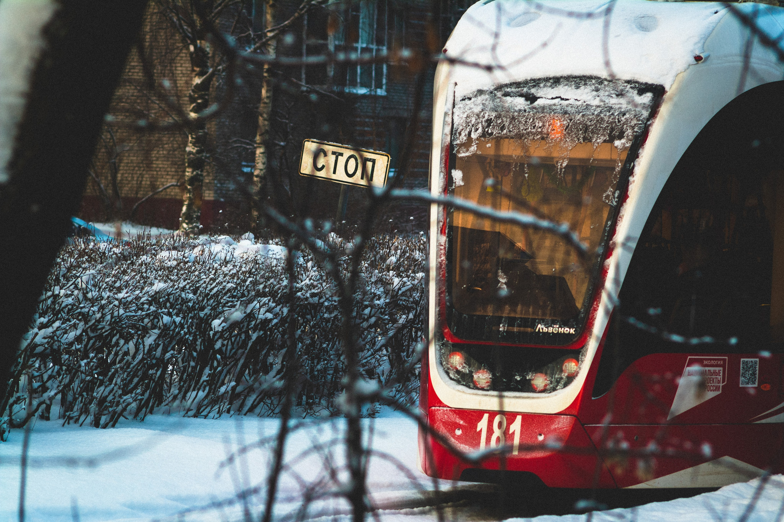 Cold. Soft. Den Mirov — Photographer, Musician