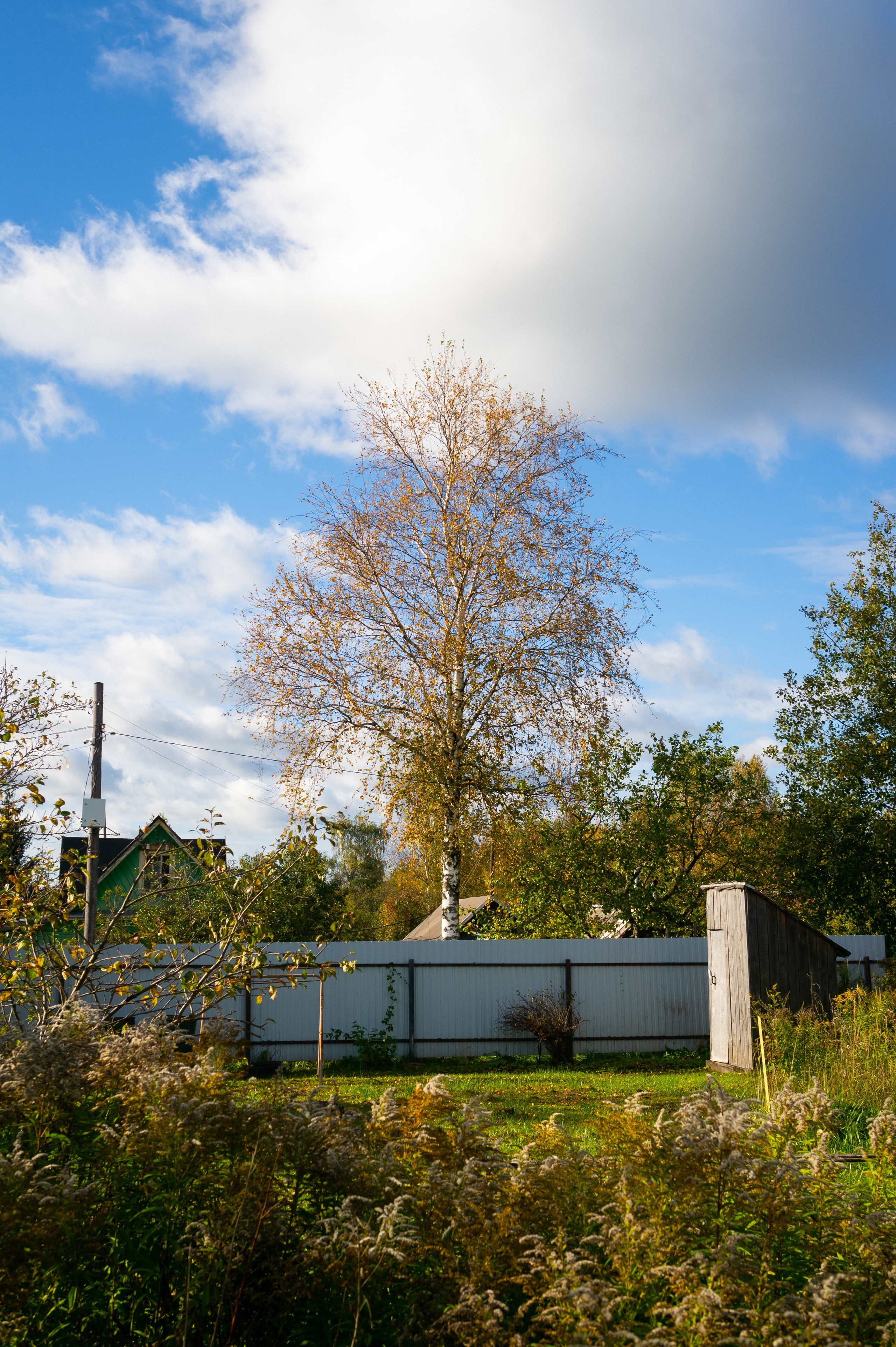 Сентябрь 2025. Den Mirov — Фотограф, Музыкант