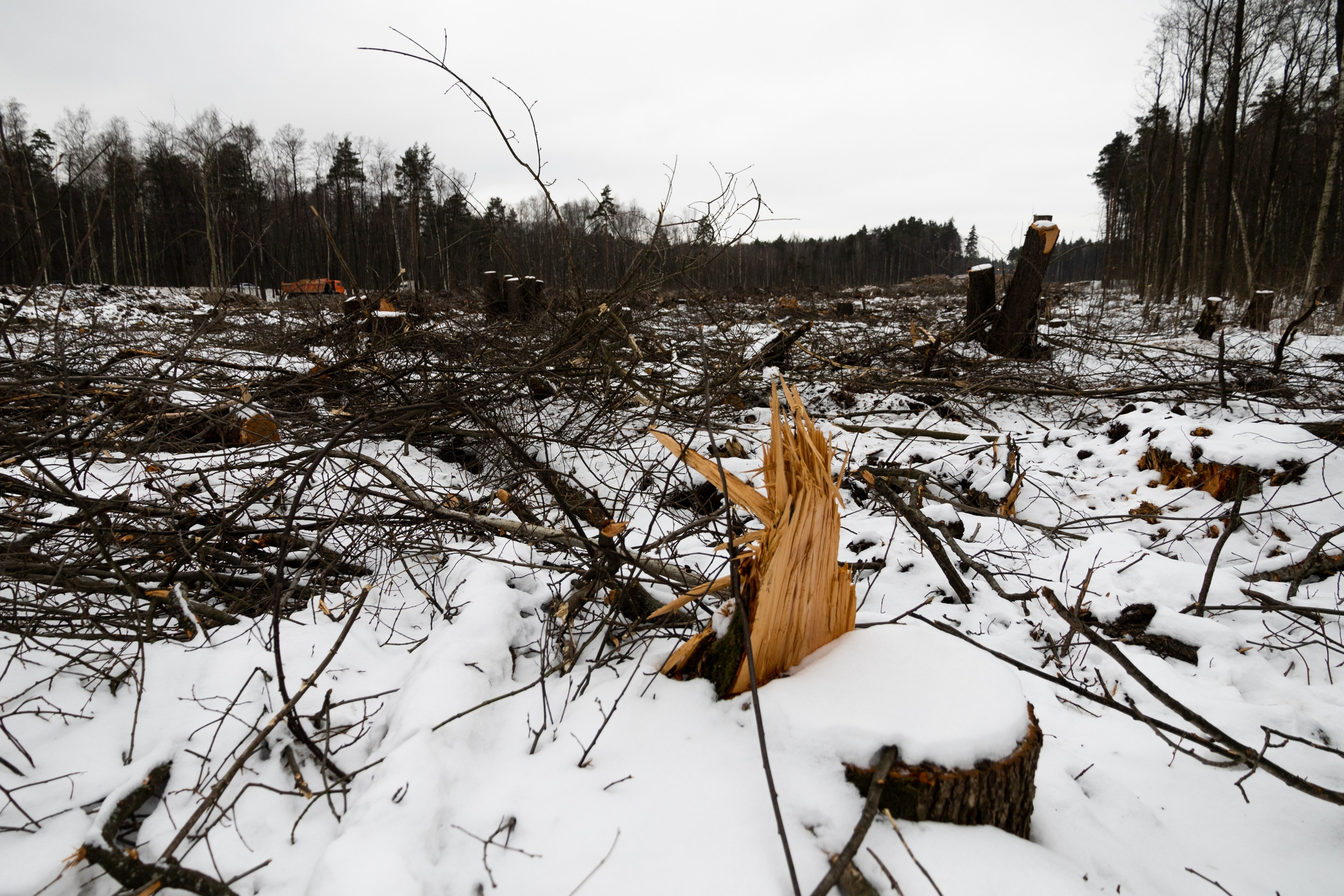Я здесь живу. DASHA KALNINA