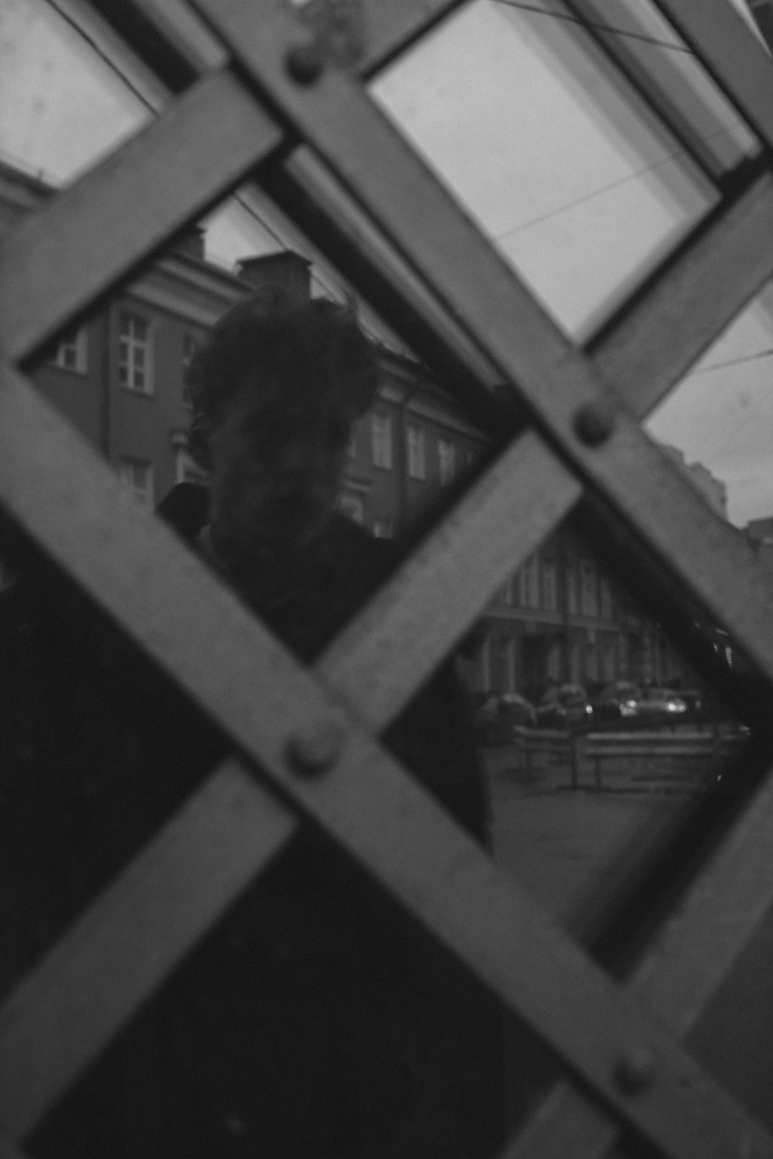 Лев. Портретный фотограф DanilNabody