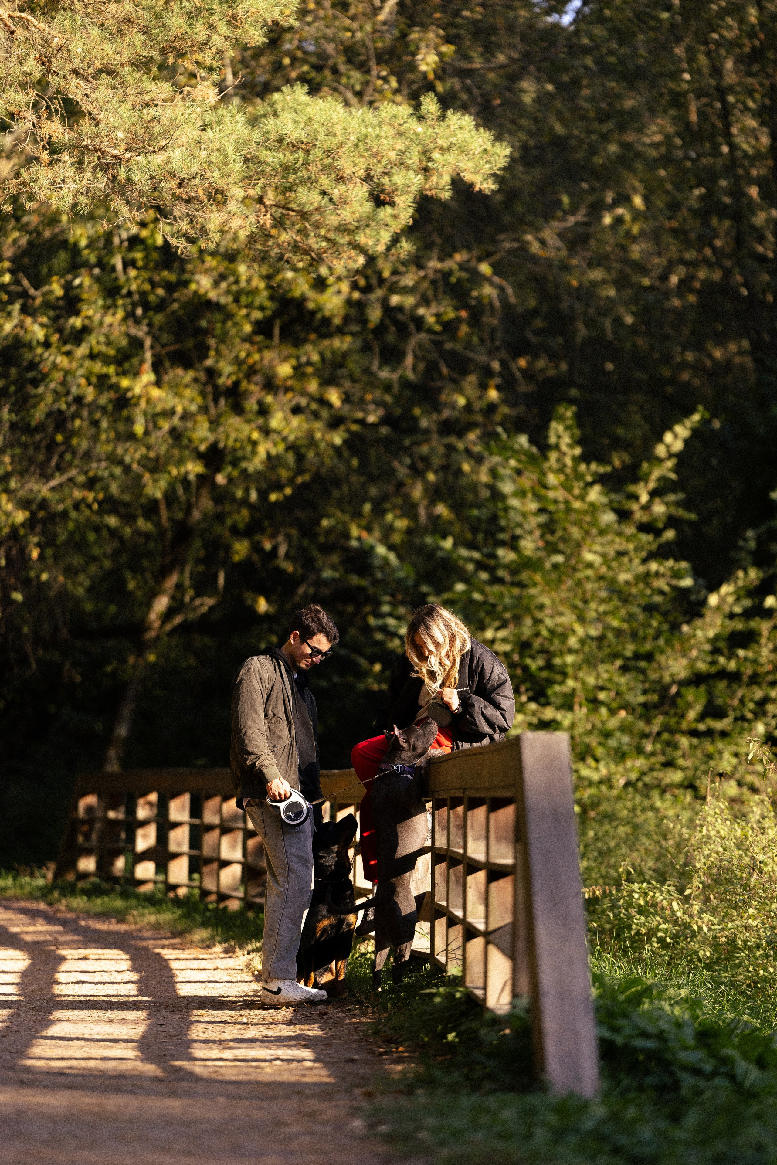 Катя, Леша, Лея и Трой. Фотограф и видеограф анималист Аганина Дарья