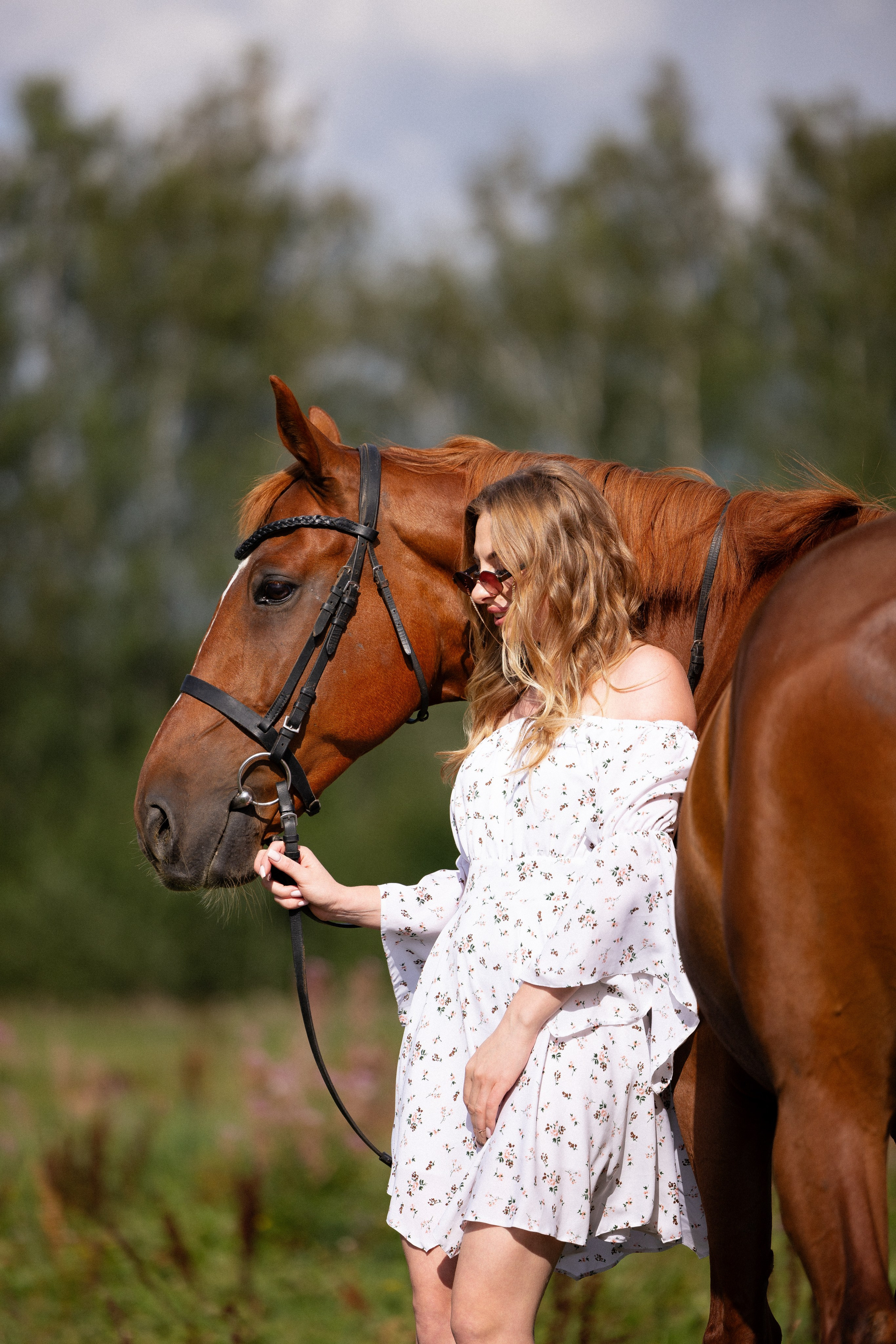 Мария и Реванш. Фотограф и видеограф анималист Аганина Дарья
