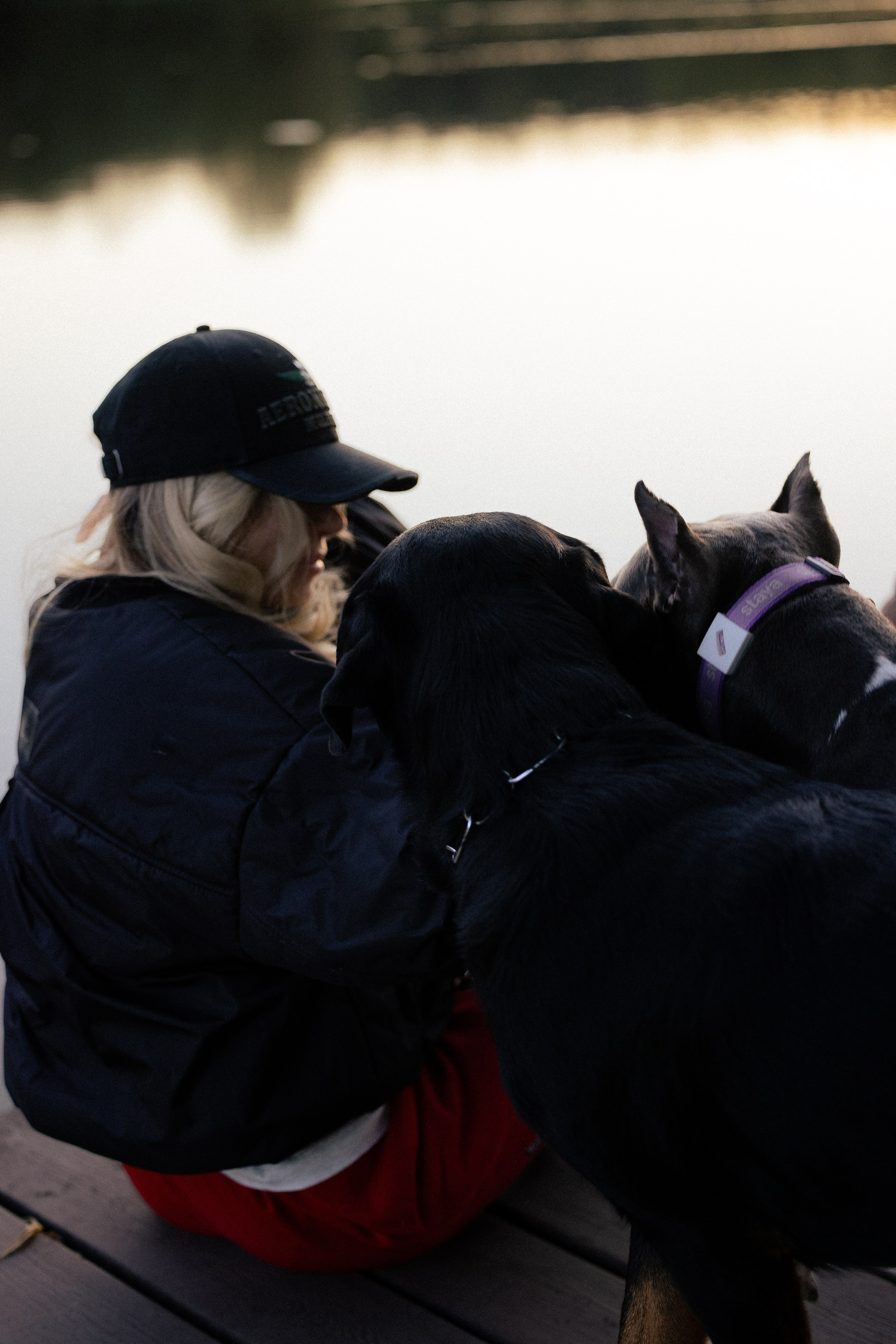 Катя, Леша, Лея и Трой. Фотограф и видеограф анималист Аганина Дарья