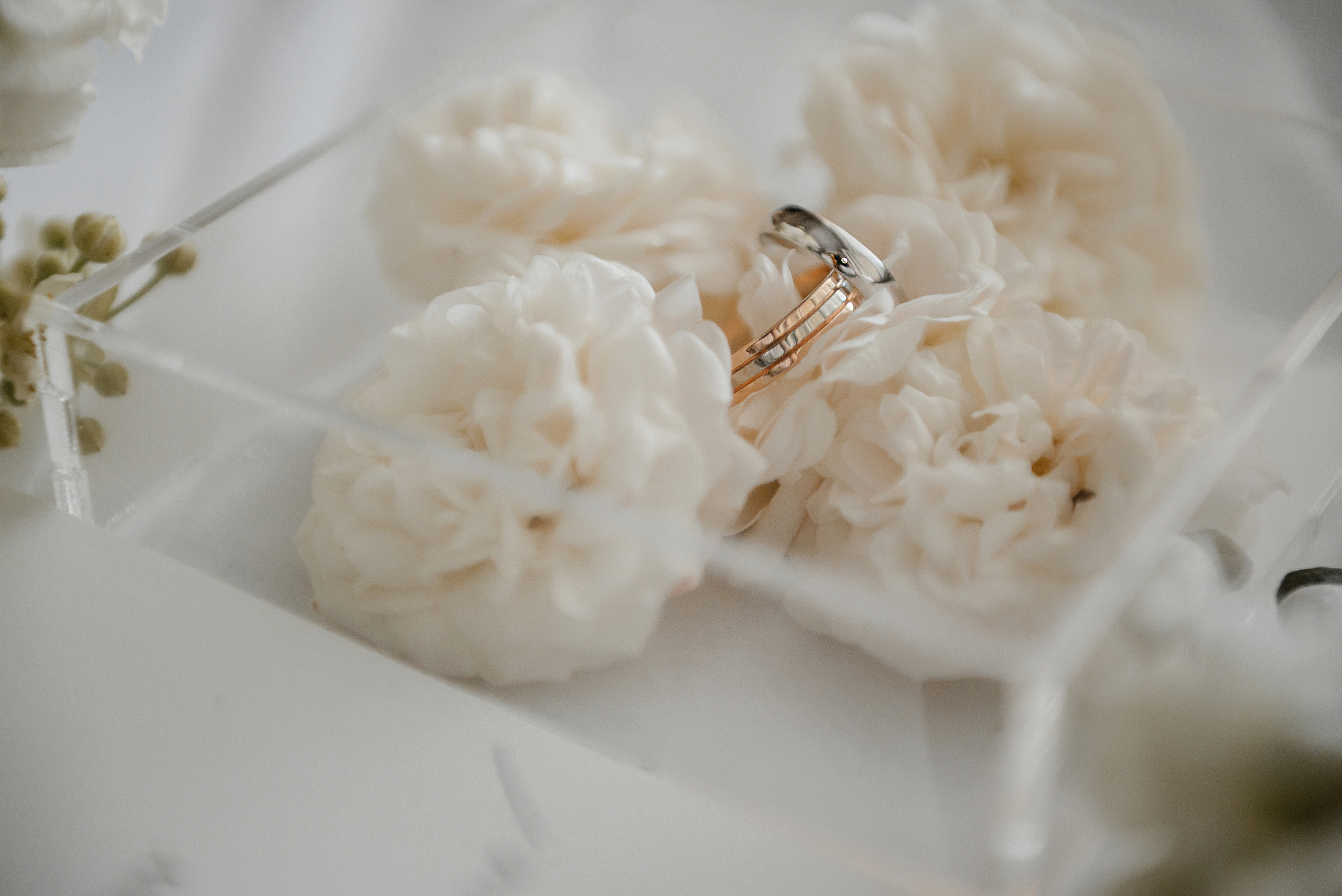 Петр и Анастасия. Свадебный и семейный фотограф в Краснодаре