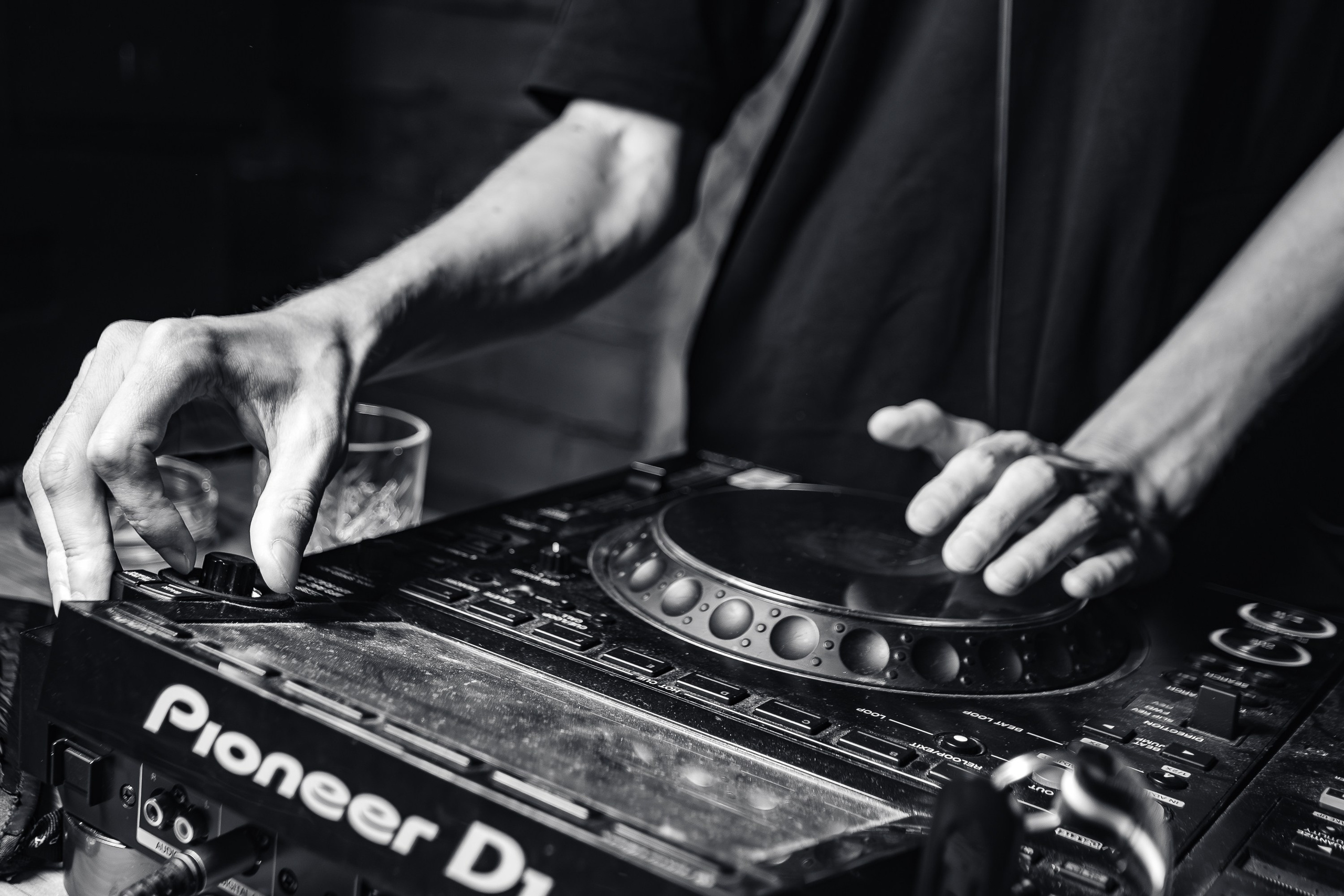 «LYRIQ"_Чайка на пляже_Ялта_15.08.2025 г. Аминов Руслан | Фотограф