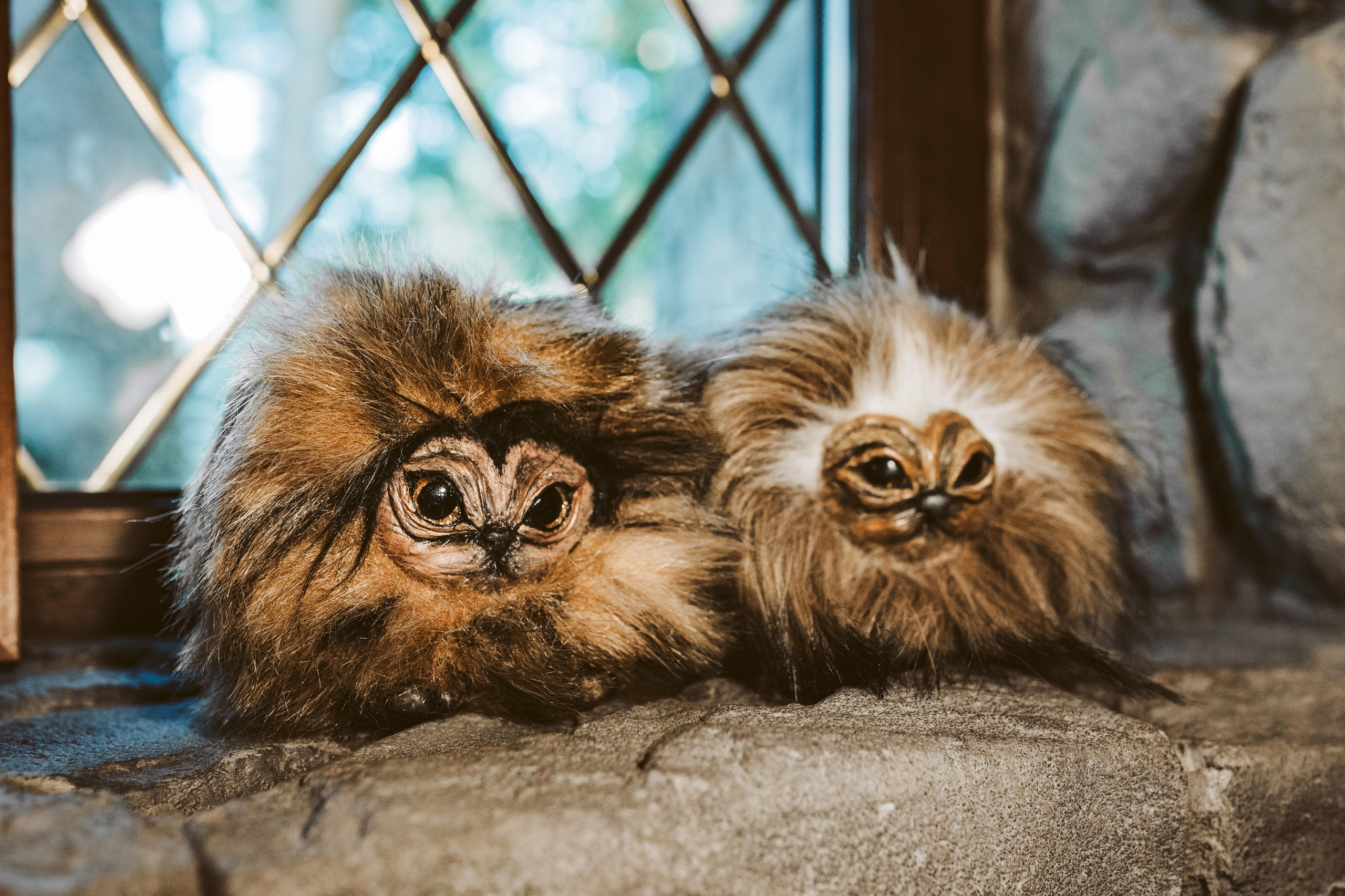 Хижина Хагрида. Свадебный фотограф Курзина Ольга | Москва