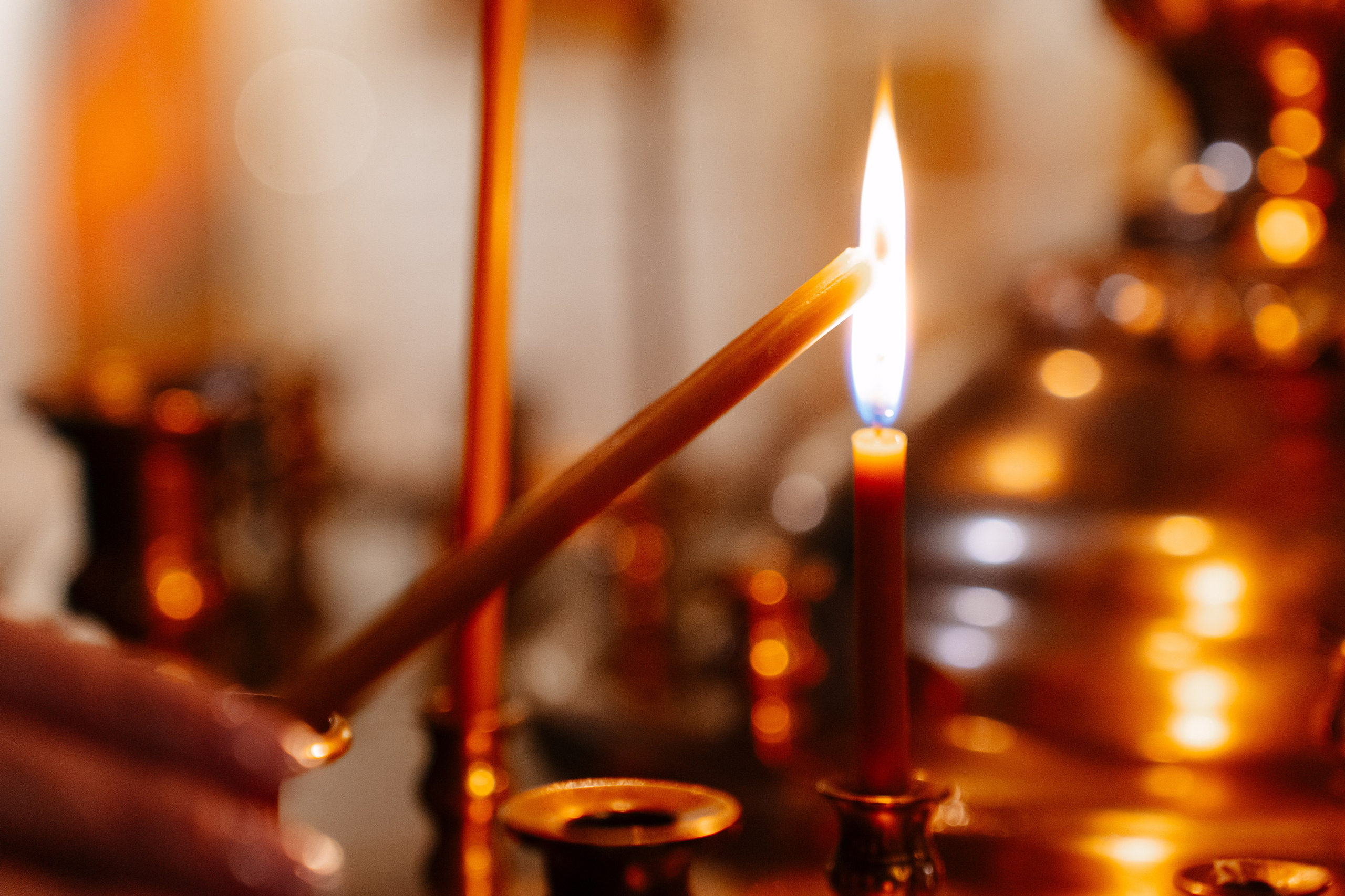 Свадебная фотосессия в Пушкине. Семейный и свадебный фотограф в Санкт-Петербурге и Москве