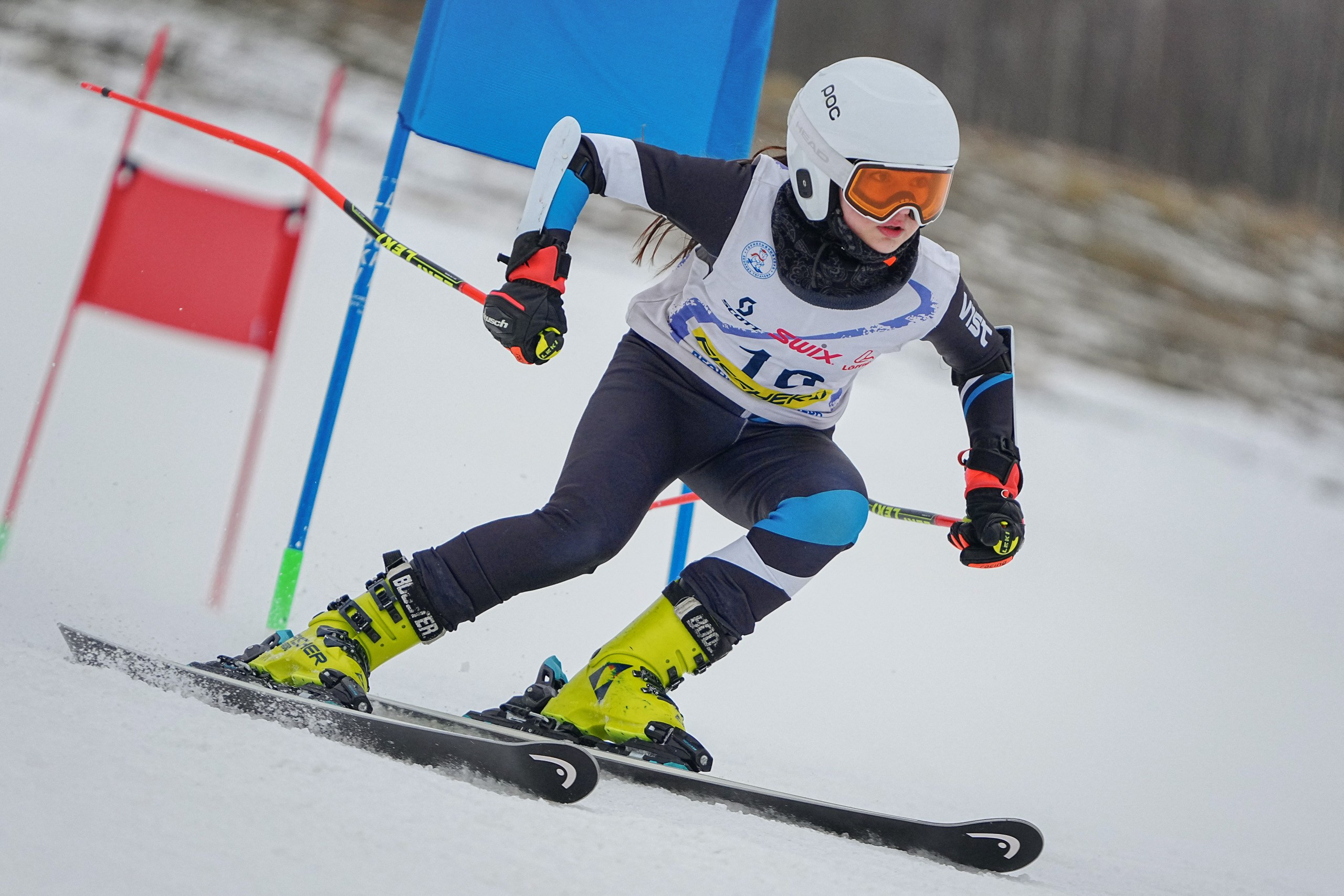 Горные лыжи. Первенство Московской области. Слалом-гигант. Шуколово