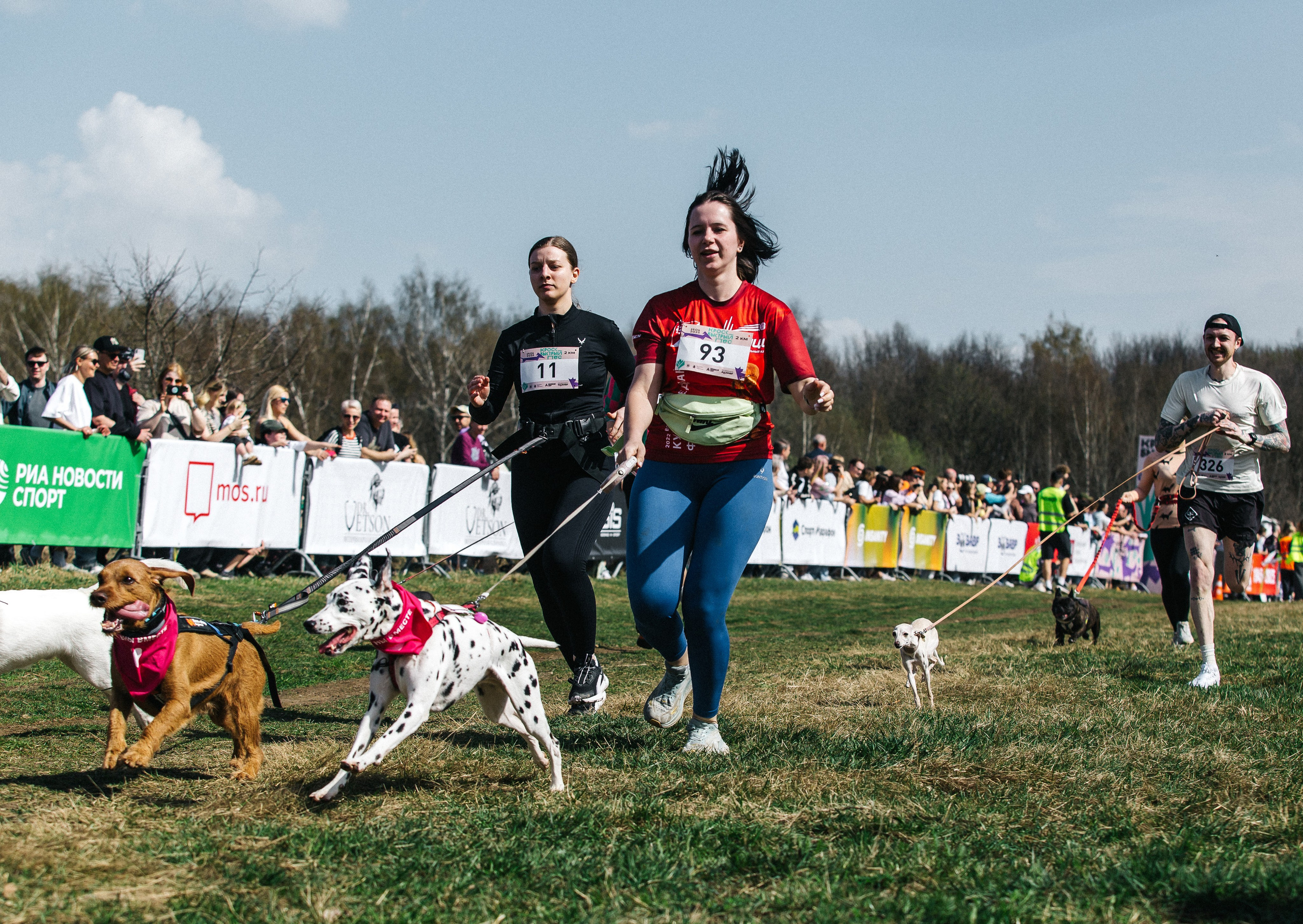 Кросс «Быстрый пёс» 2025. Репортажный фотограф в Москве