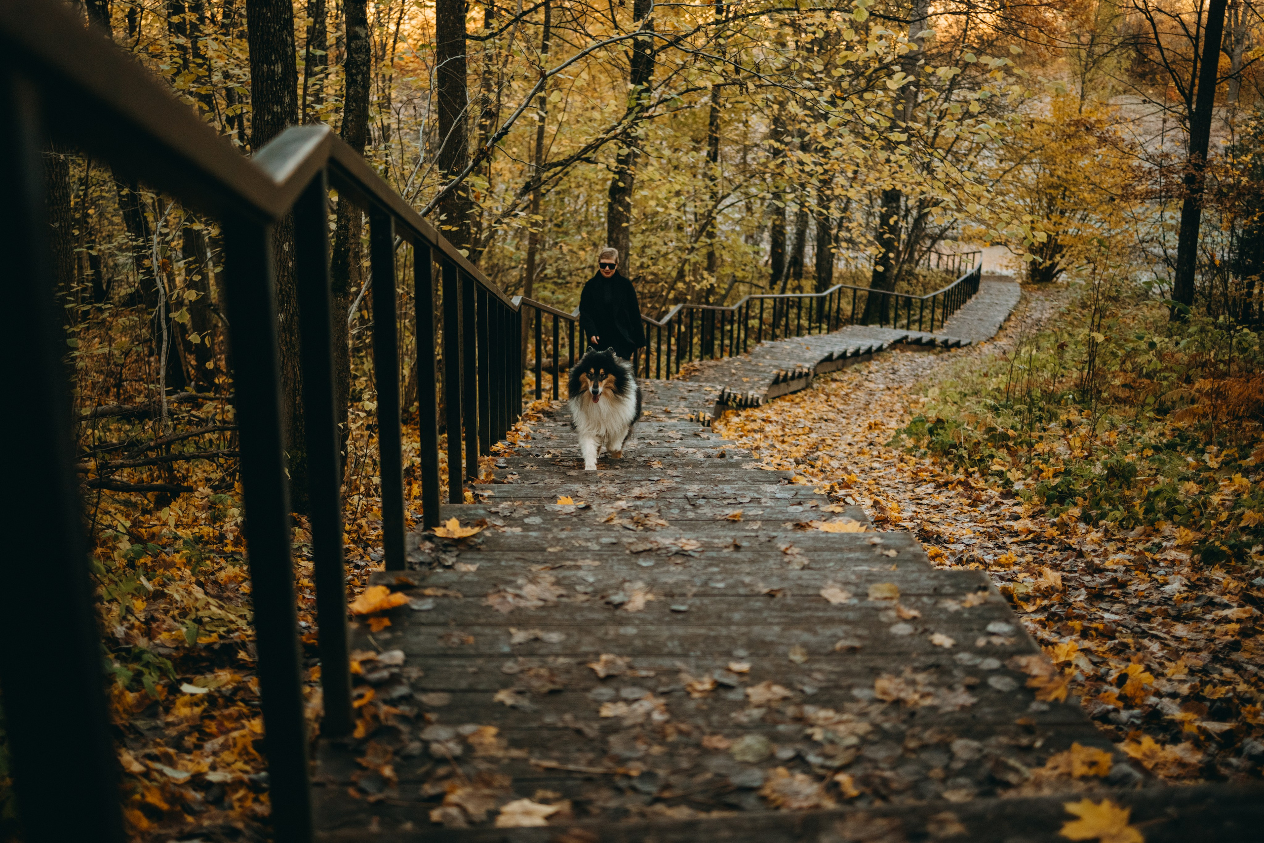 Ия и Барт. Фотограф — Анималист | Санкт-Петербург