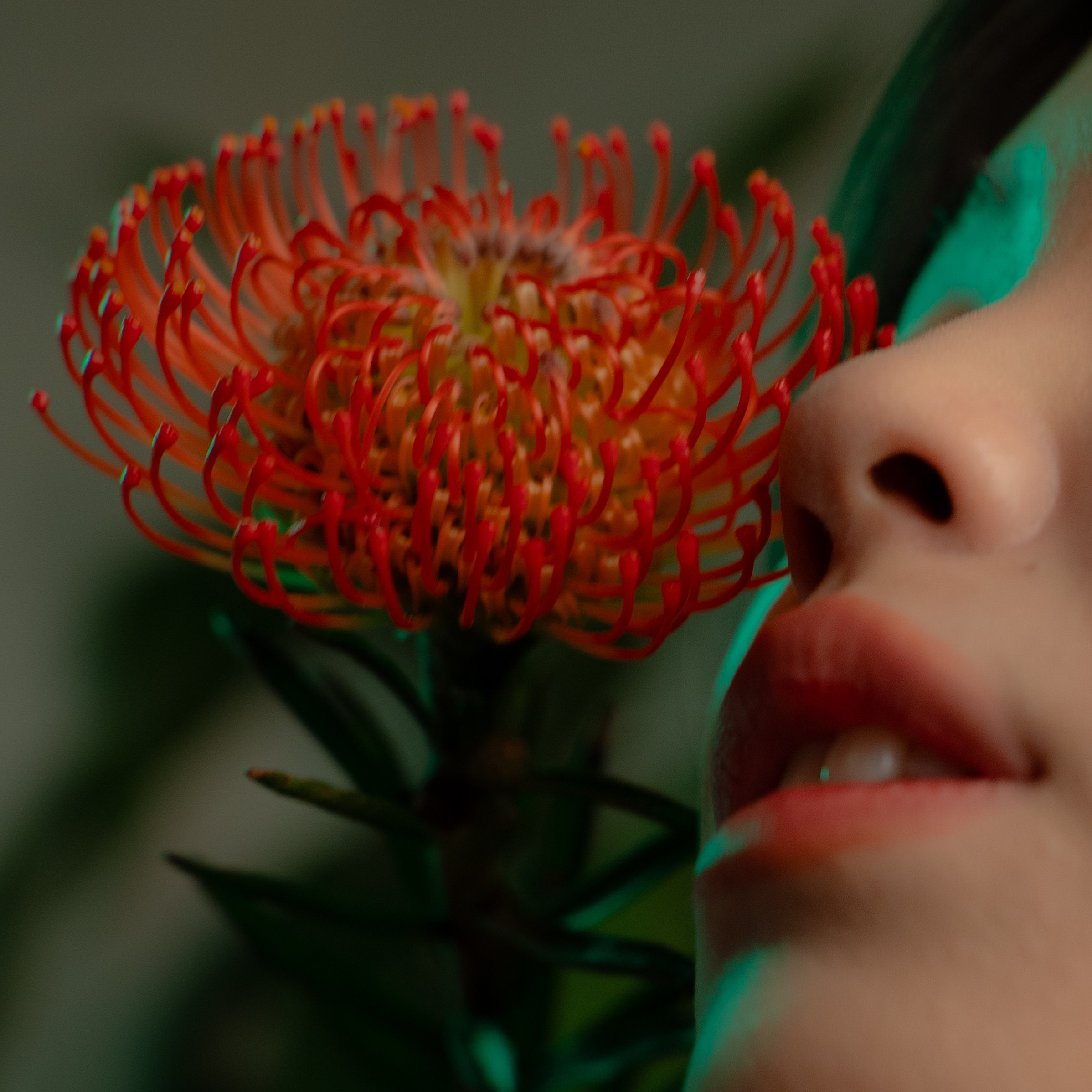 Практика. Фотограф Томск Новосибирск Елизавета Вахтеева