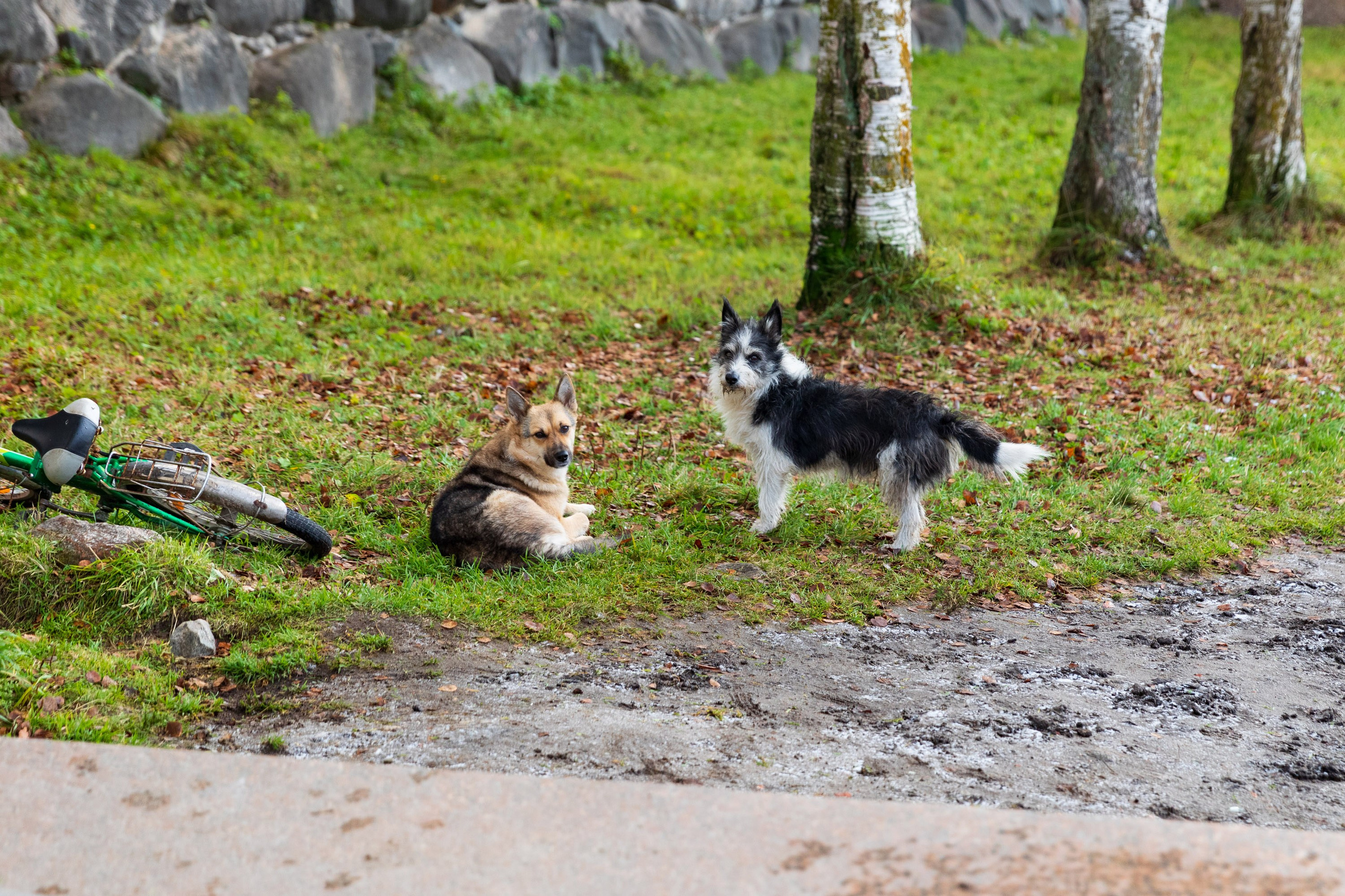 Большое путешествие в Карелию на машине. Марина Захарова — Фотограф. Москва / Marina Zakharova — Photographer