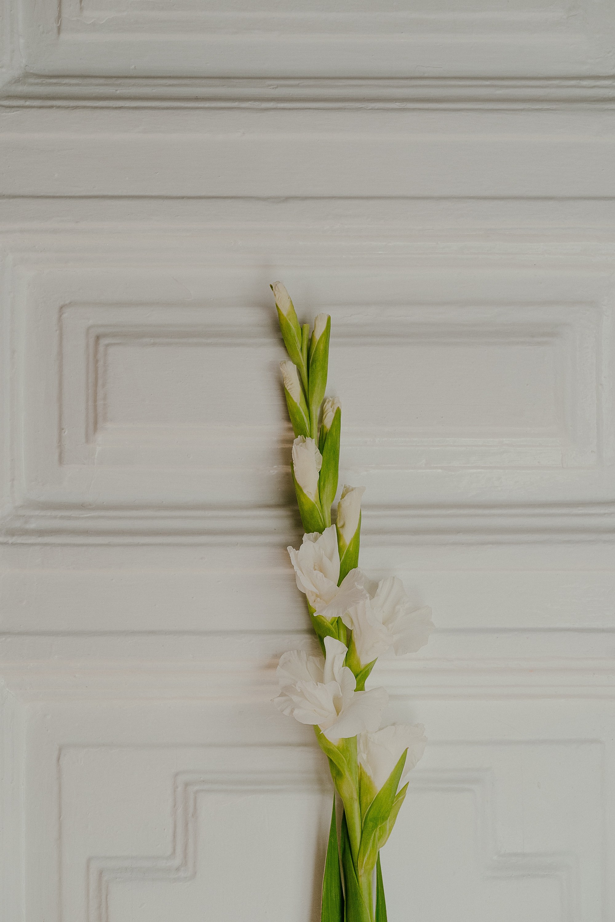 Настя. Фотограф Ирина Романова